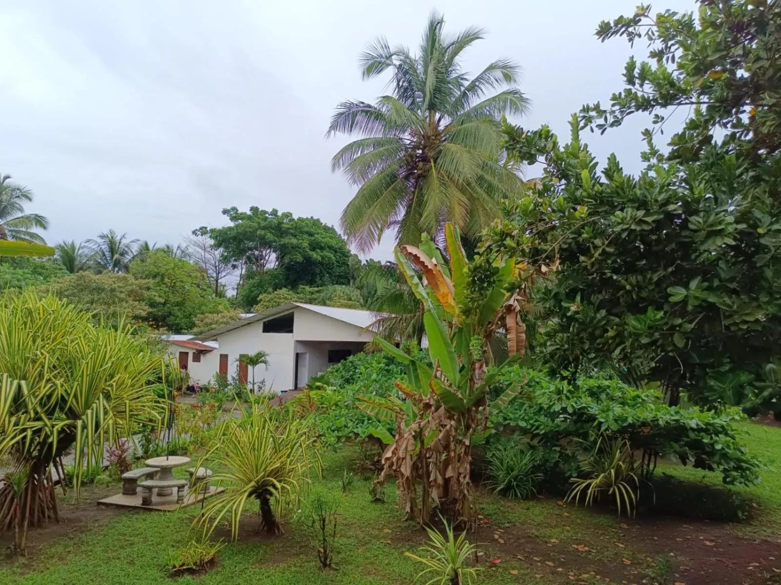 Day in Hotel Tortuguero Beachfront