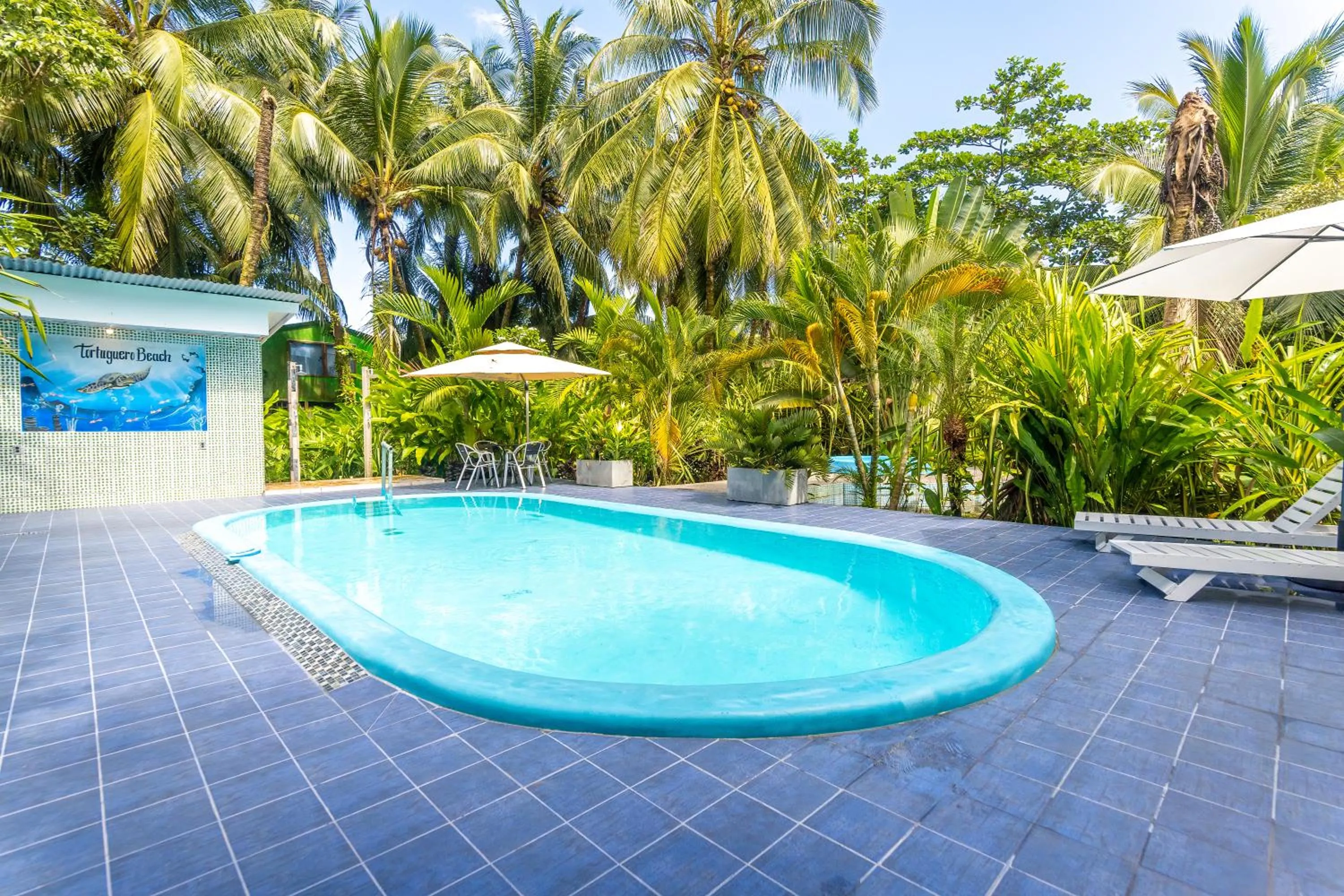 Swimming pool in Hotel Tortuguero Beachfront