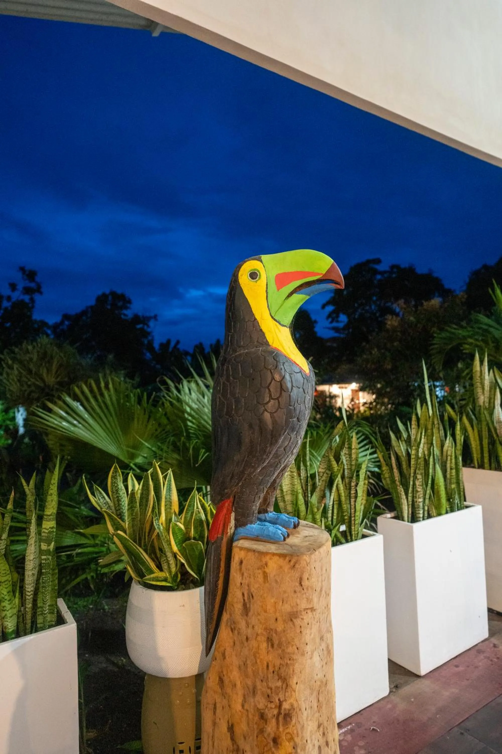 Night in Hotel Tortuguero Beachfront
