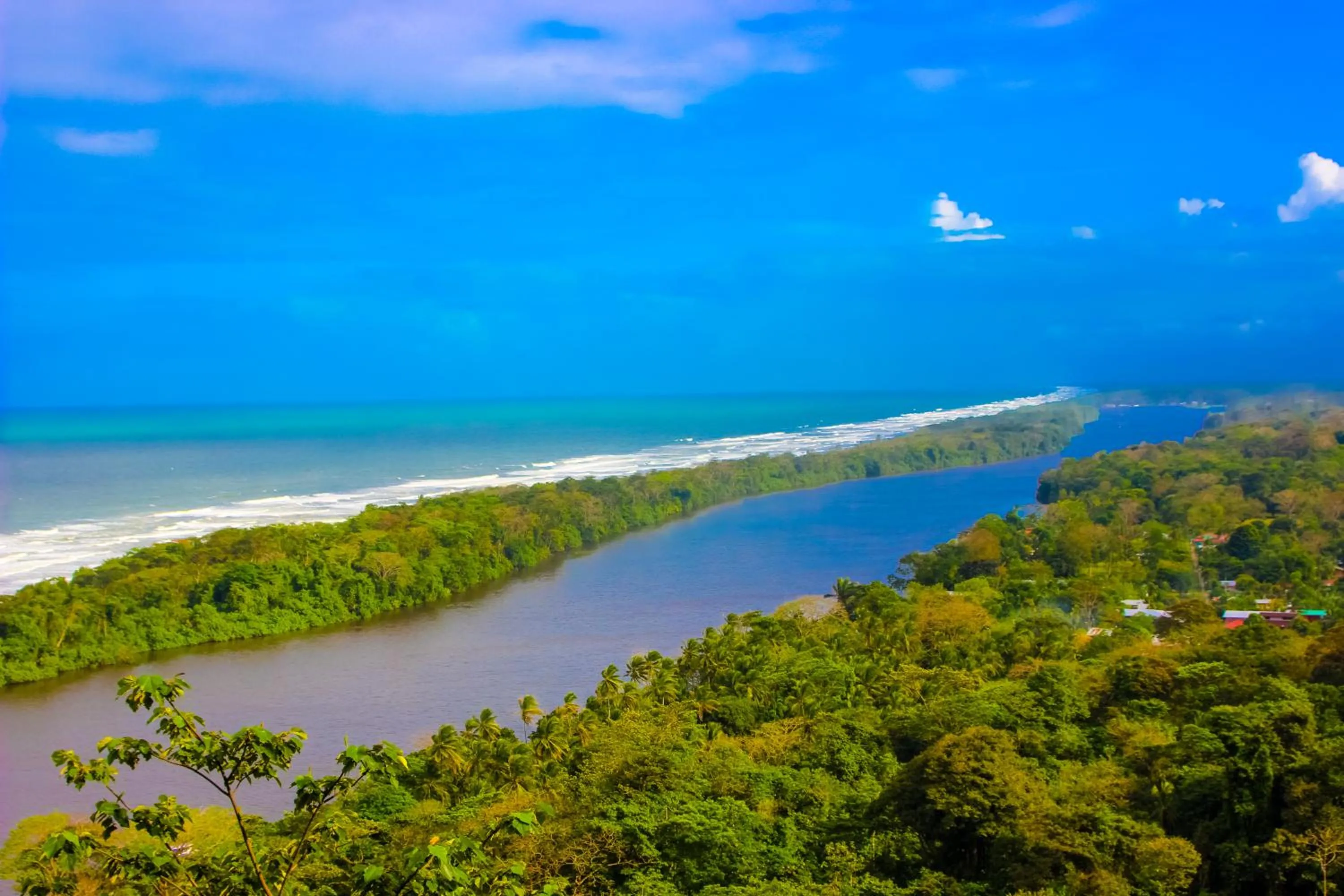 Natural landscape in Hotel Tortuguero Beachfront