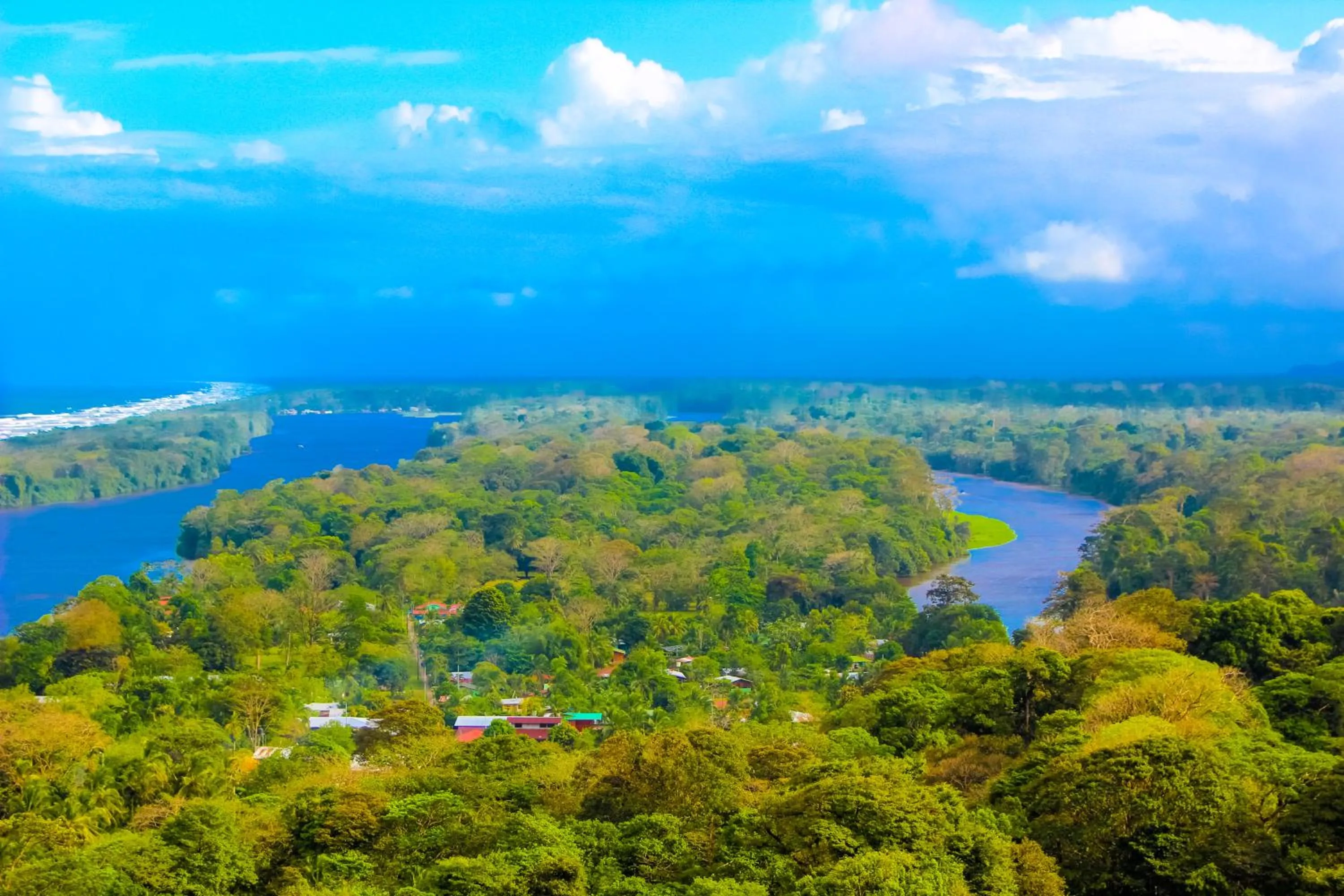 Natural landscape in Hotel Tortuguero Beachfront