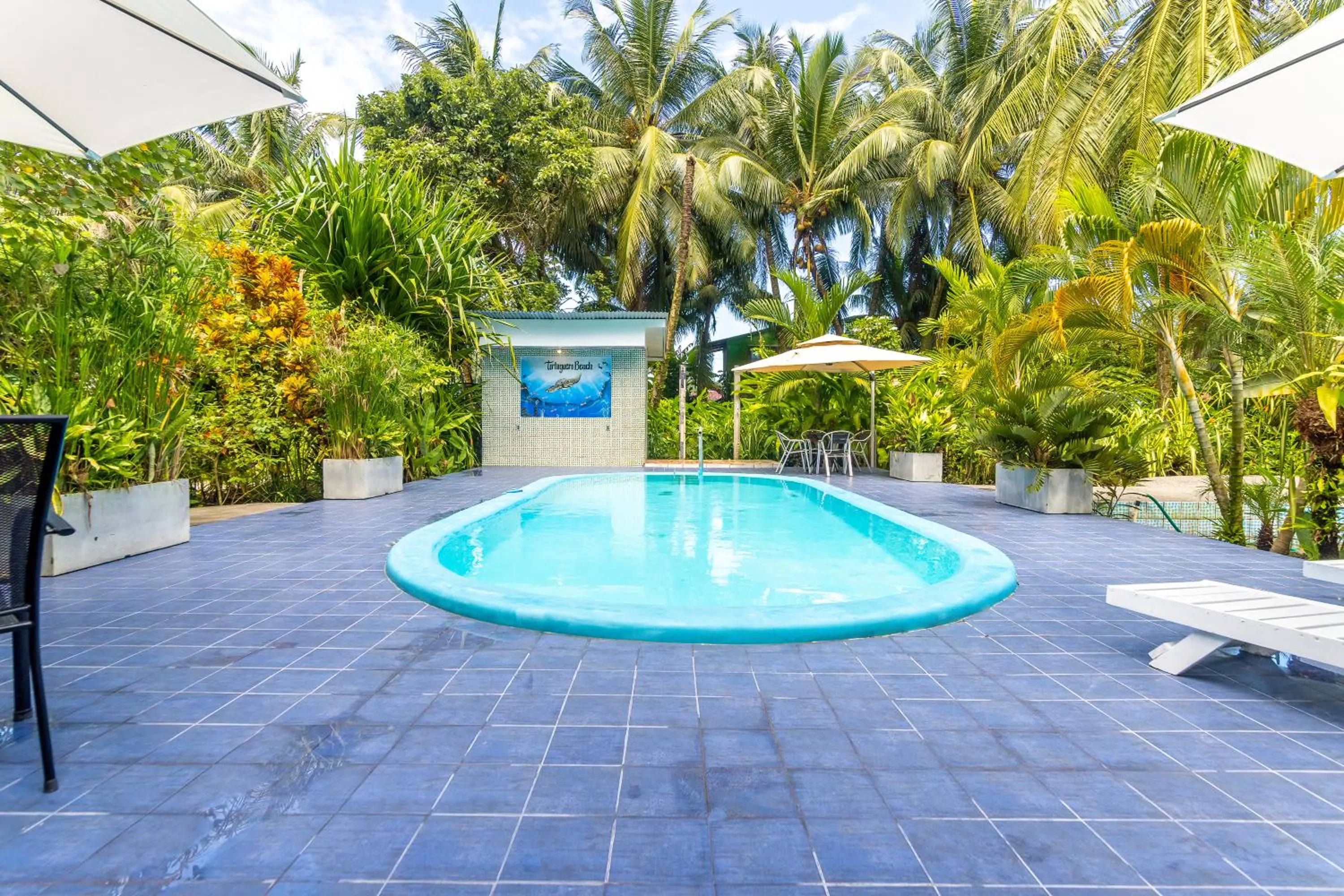 Pool view in Hotel Tortuguero Beachfront