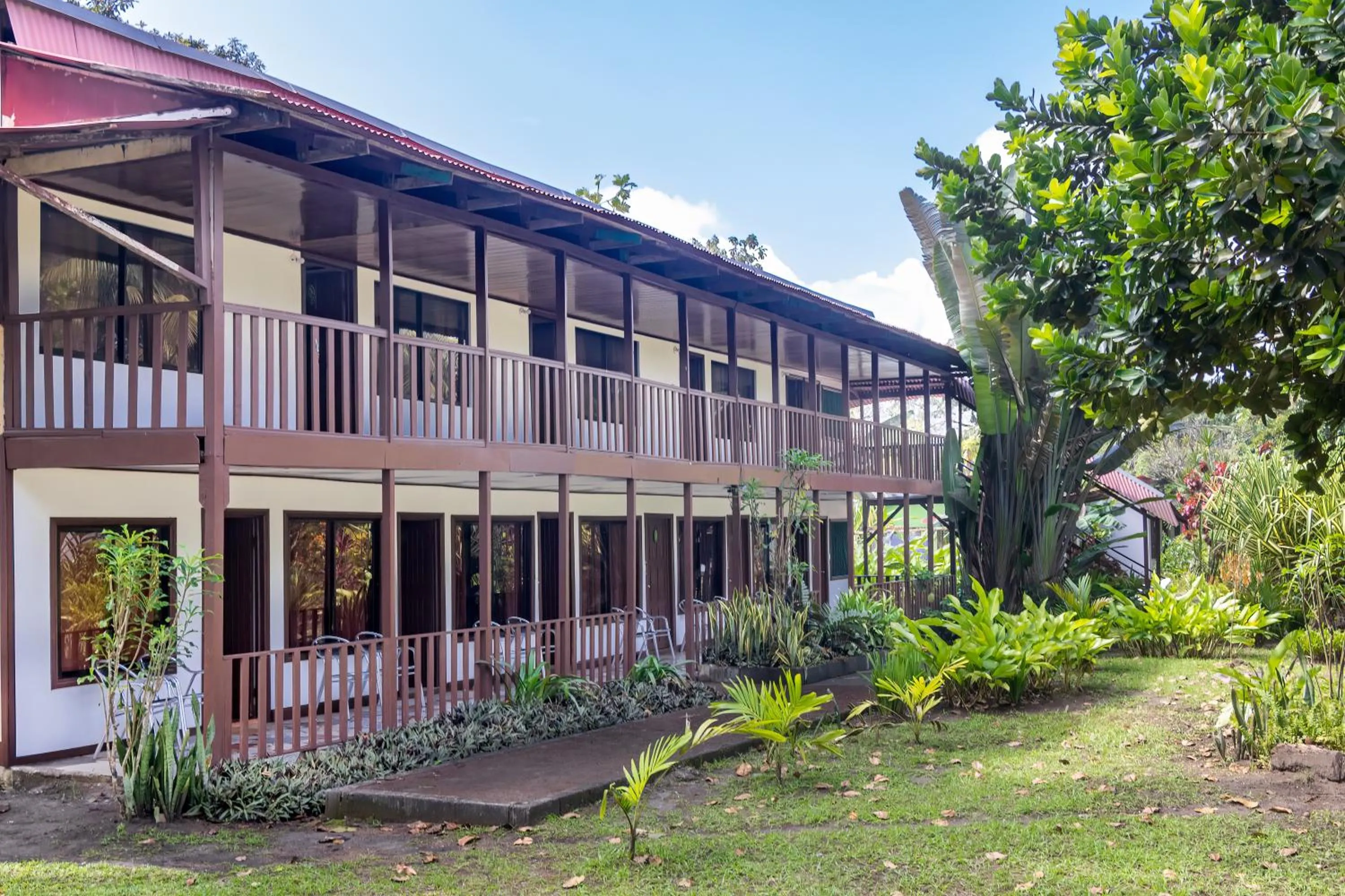 Spring in Hotel Tortuguero Beachfront