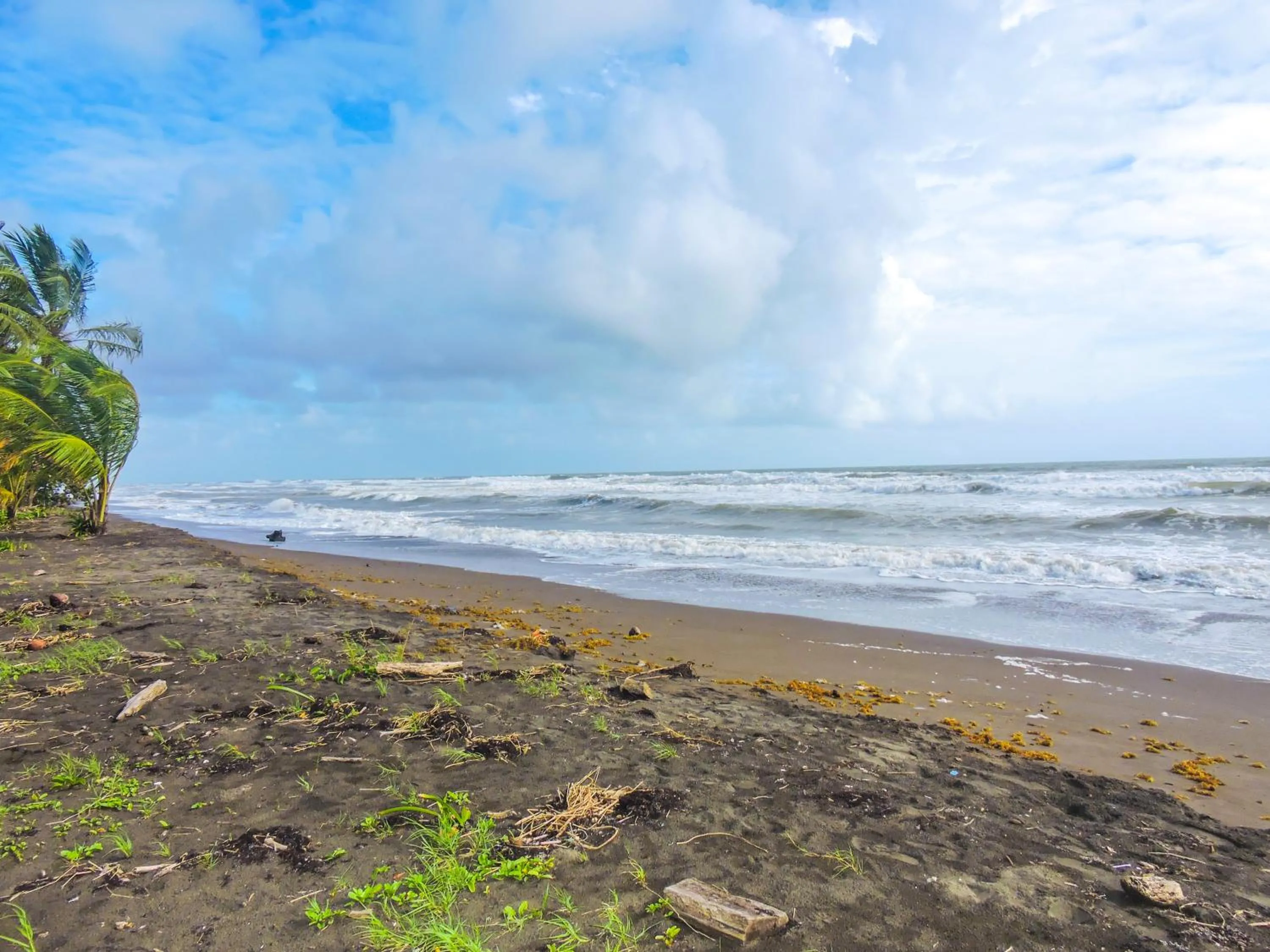 Natural landscape in Hotel Tortuguero Beachfront