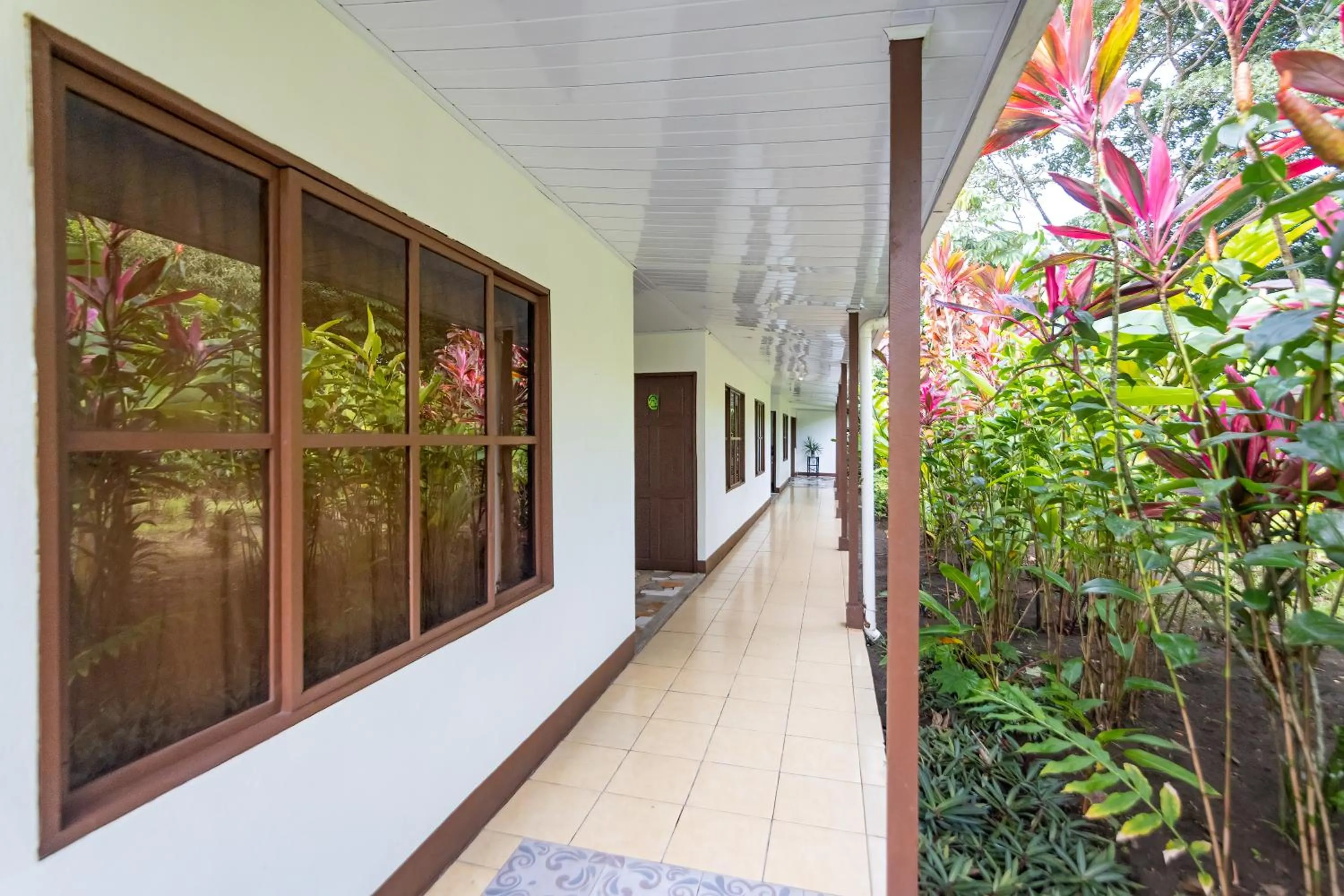 Garden view in Hotel Tortuguero Beachfront