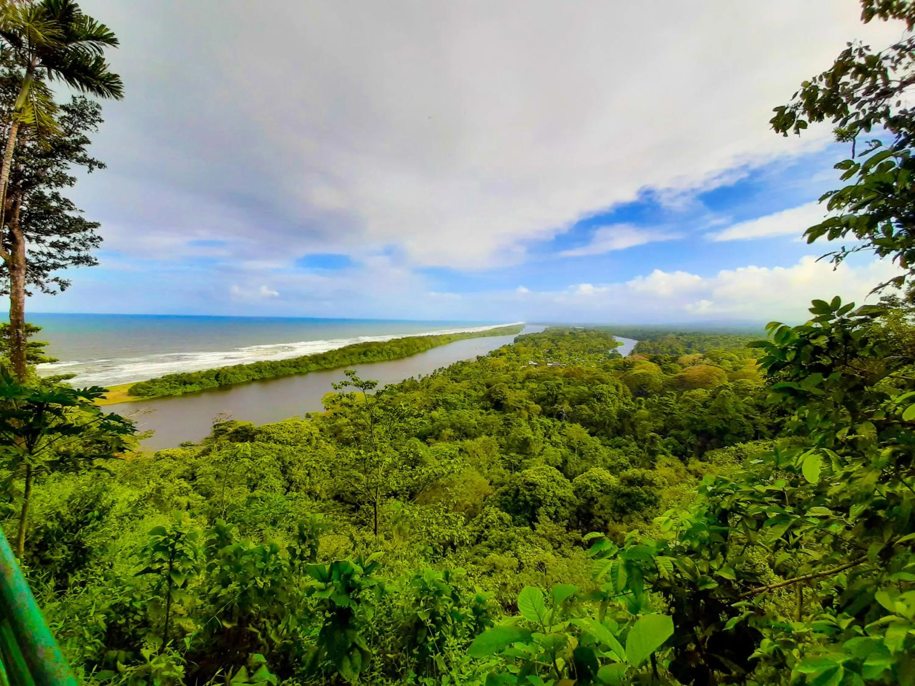 Natural landscape in Hotel Tortuguero Beachfront