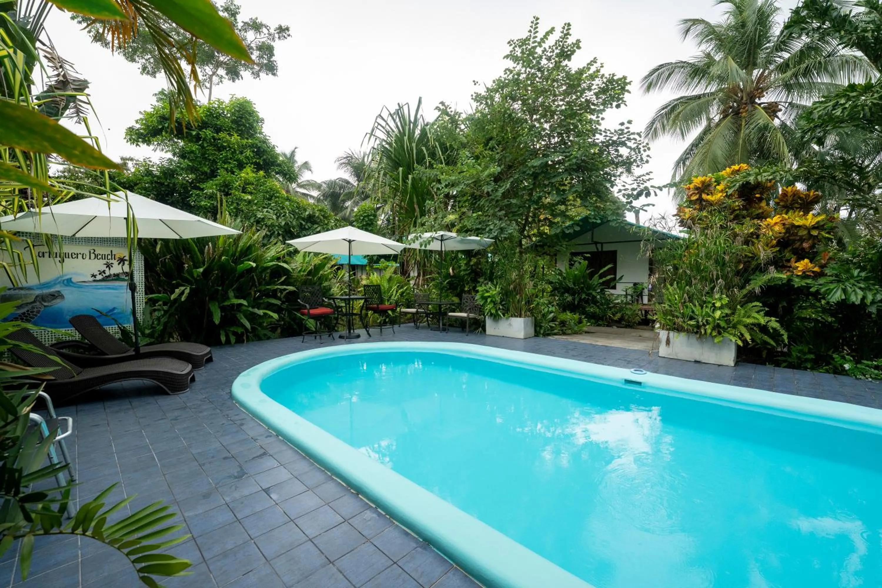 Garden in Hotel Tortuguero Beachfront