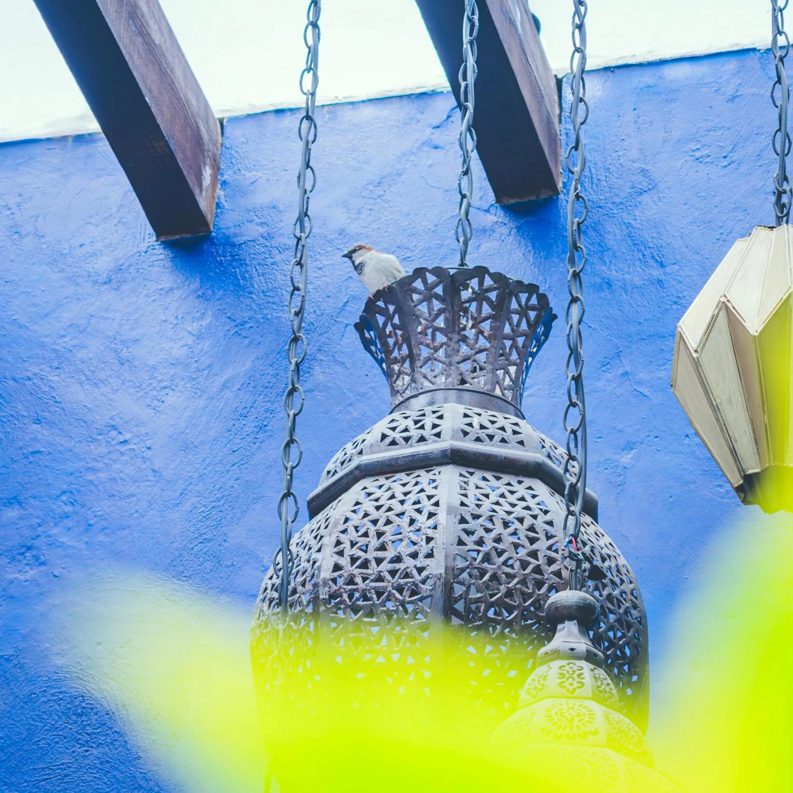 Natural landscape in Hotel Boutique Casa Altamira