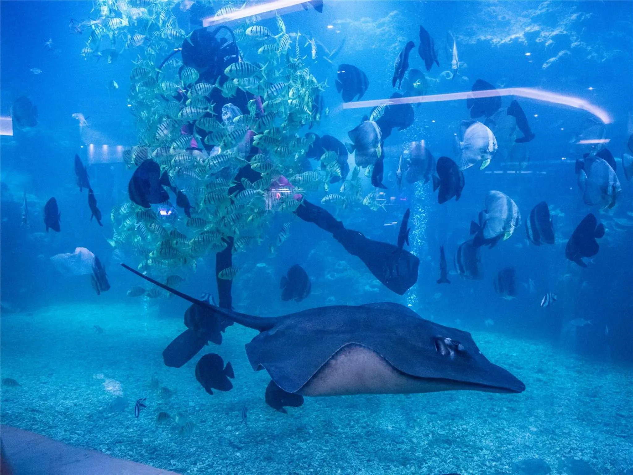 Restaurant/places to eat in Palace Resort Yalong Bay Sanya