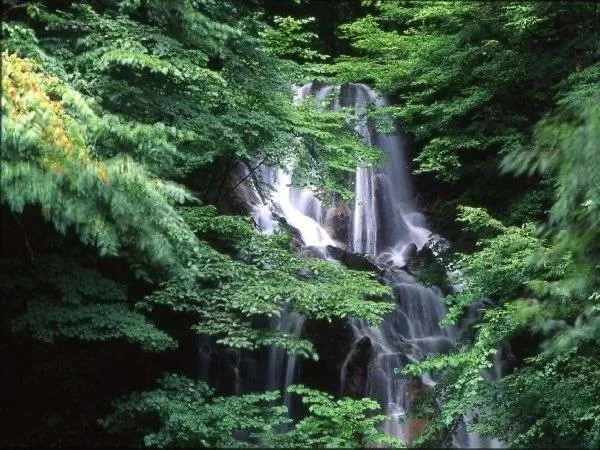 Natural landscape in Shiobara Onsen Yama no Yado Shimofujiya