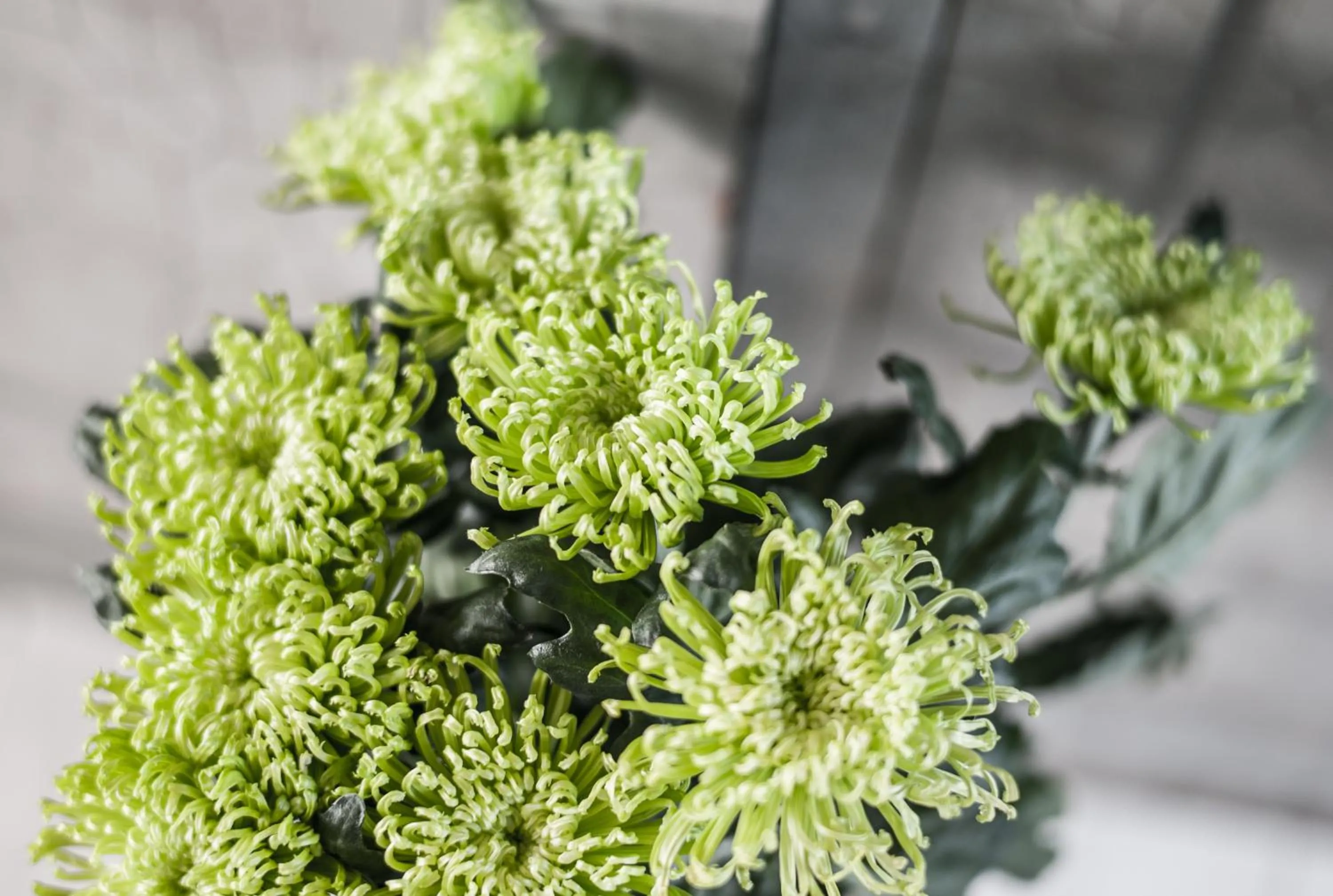 Other in Fröken Hjorts Bed and Breakfast