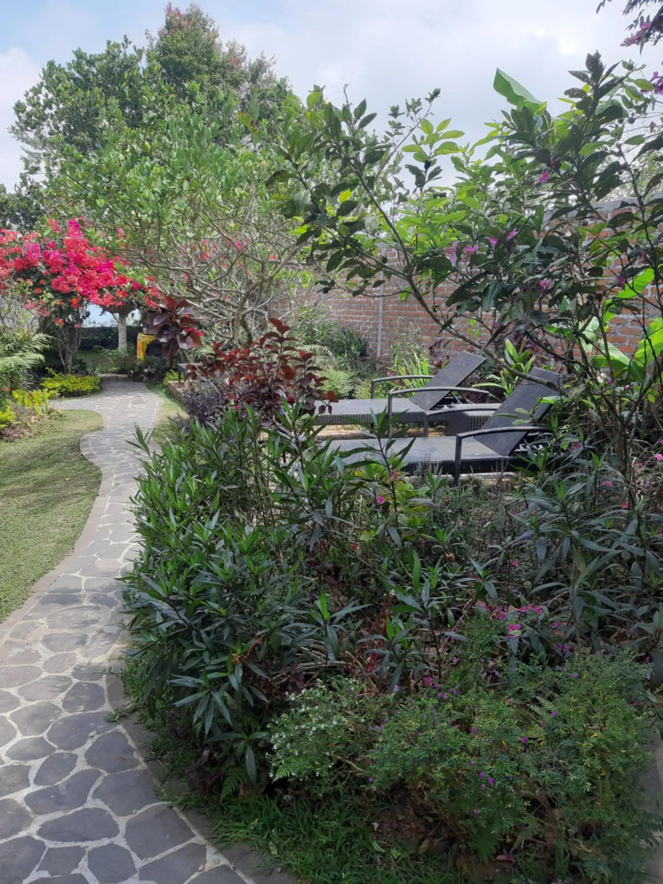 Day in Terrasse du Lac Munduk