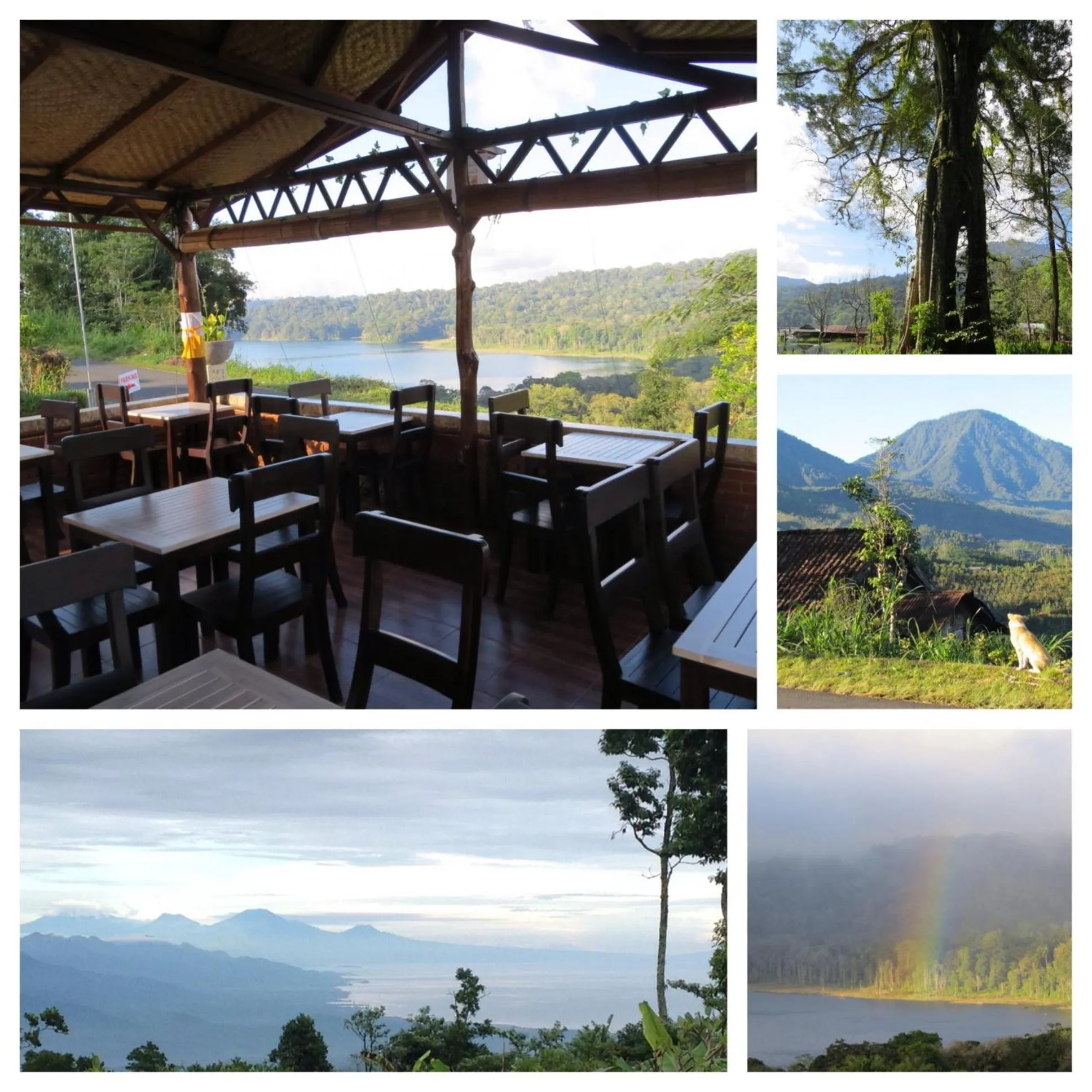 Restaurant/places to eat in Terrasse du Lac Munduk