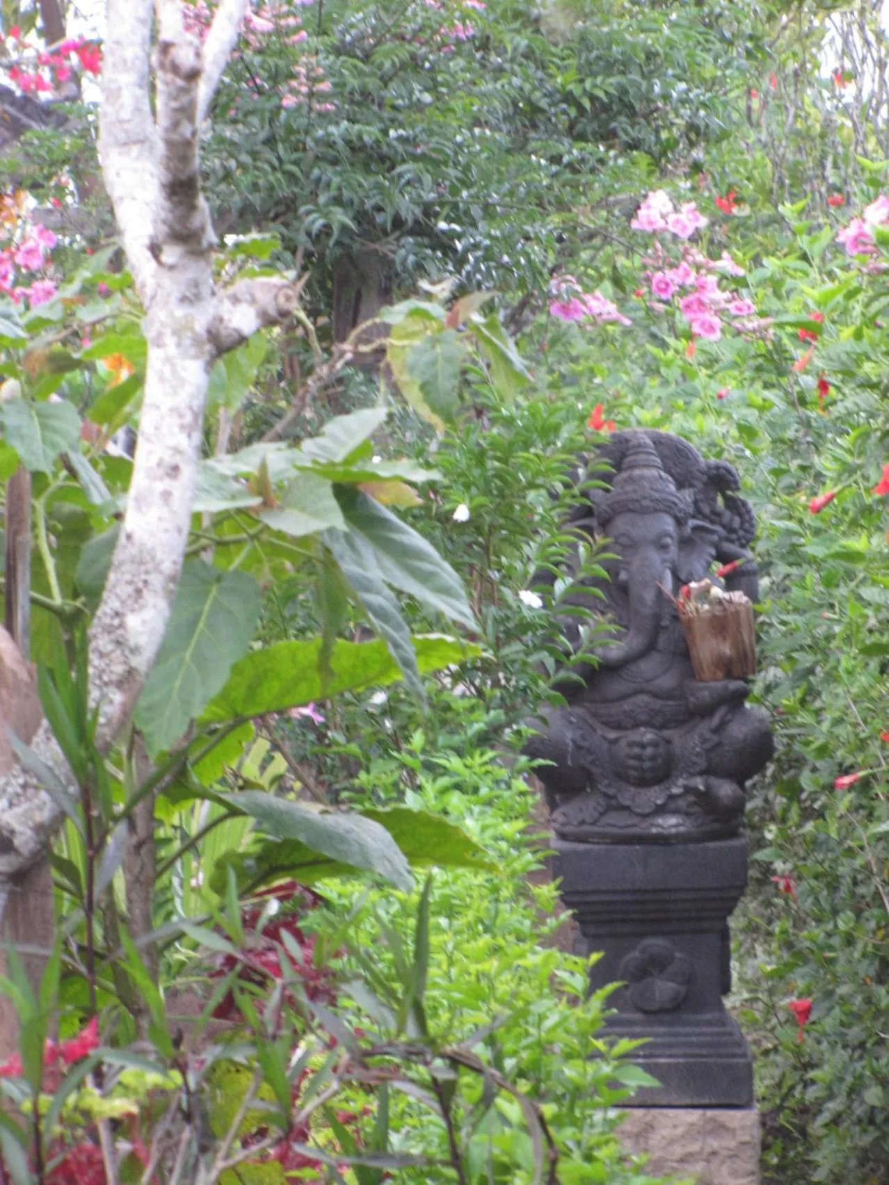 Bird's eye view in Terrasse du Lac Munduk
