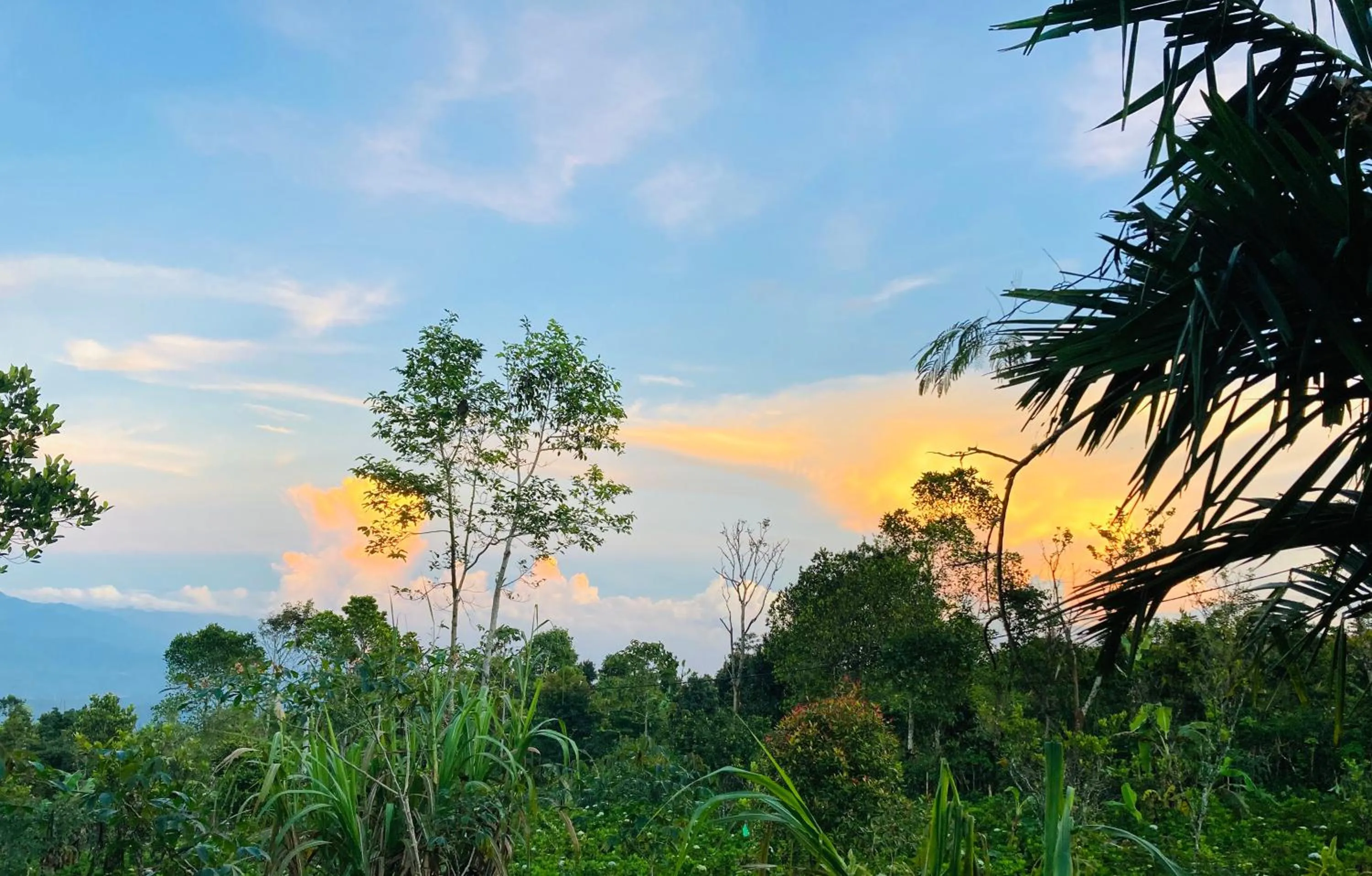 Terrasse du Lac Munduk