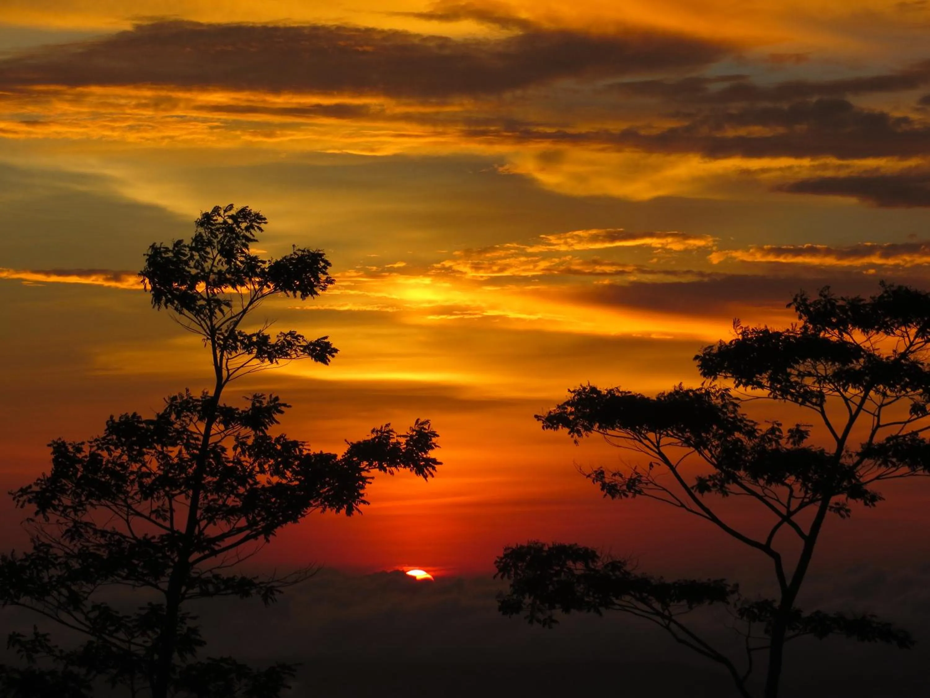 Sunset in Terrasse du Lac Munduk