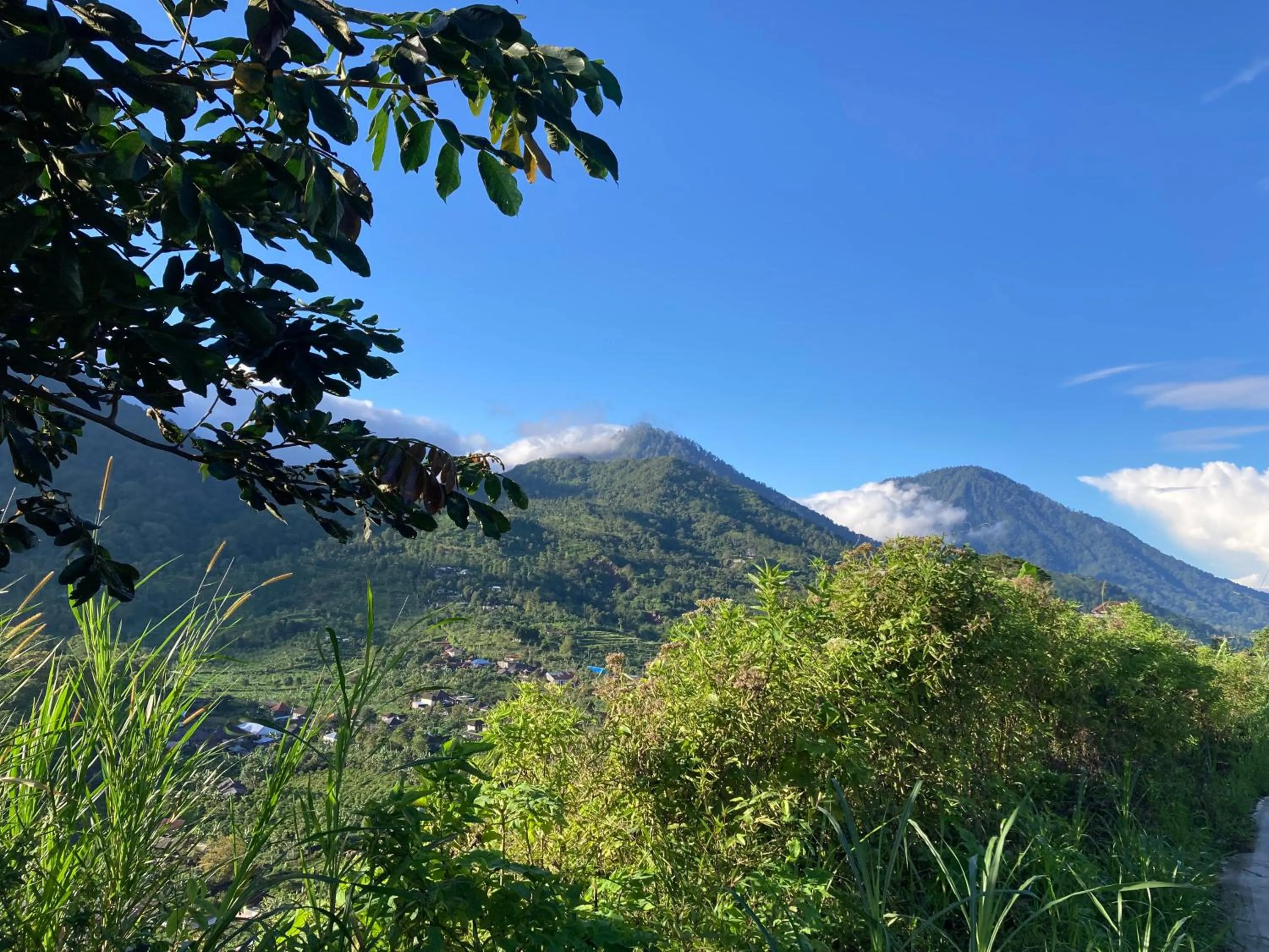 Terrasse du Lac Munduk