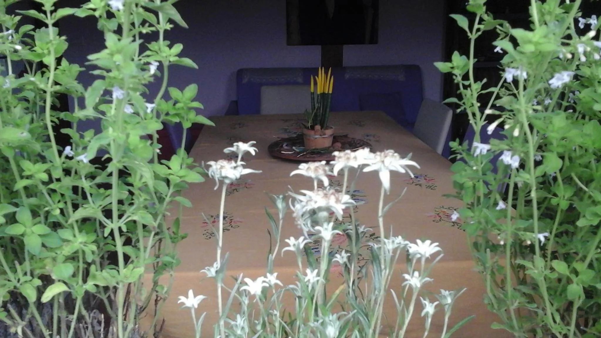 Decorative detail in 'O Chalet