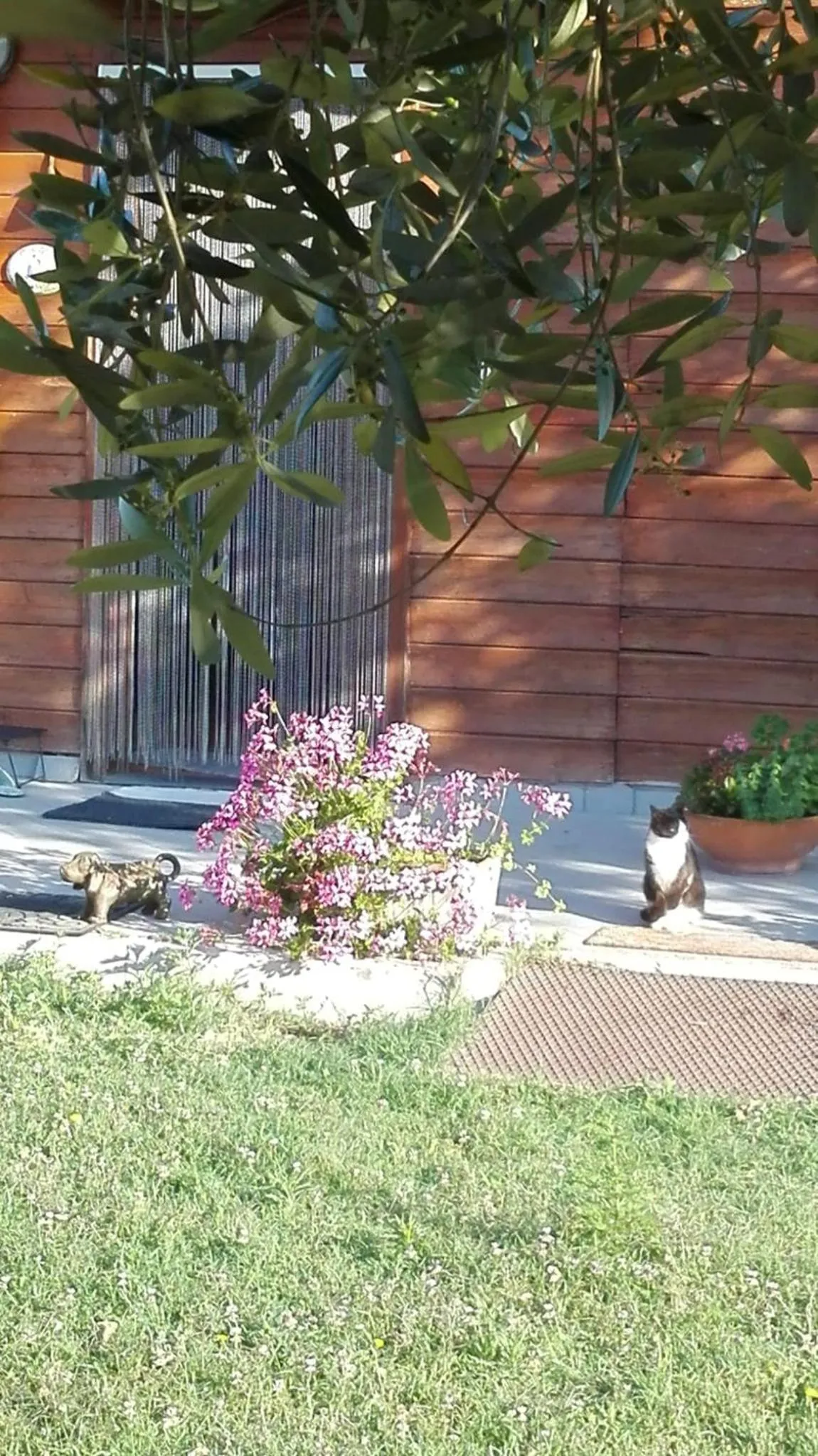 Property building in 'O Chalet