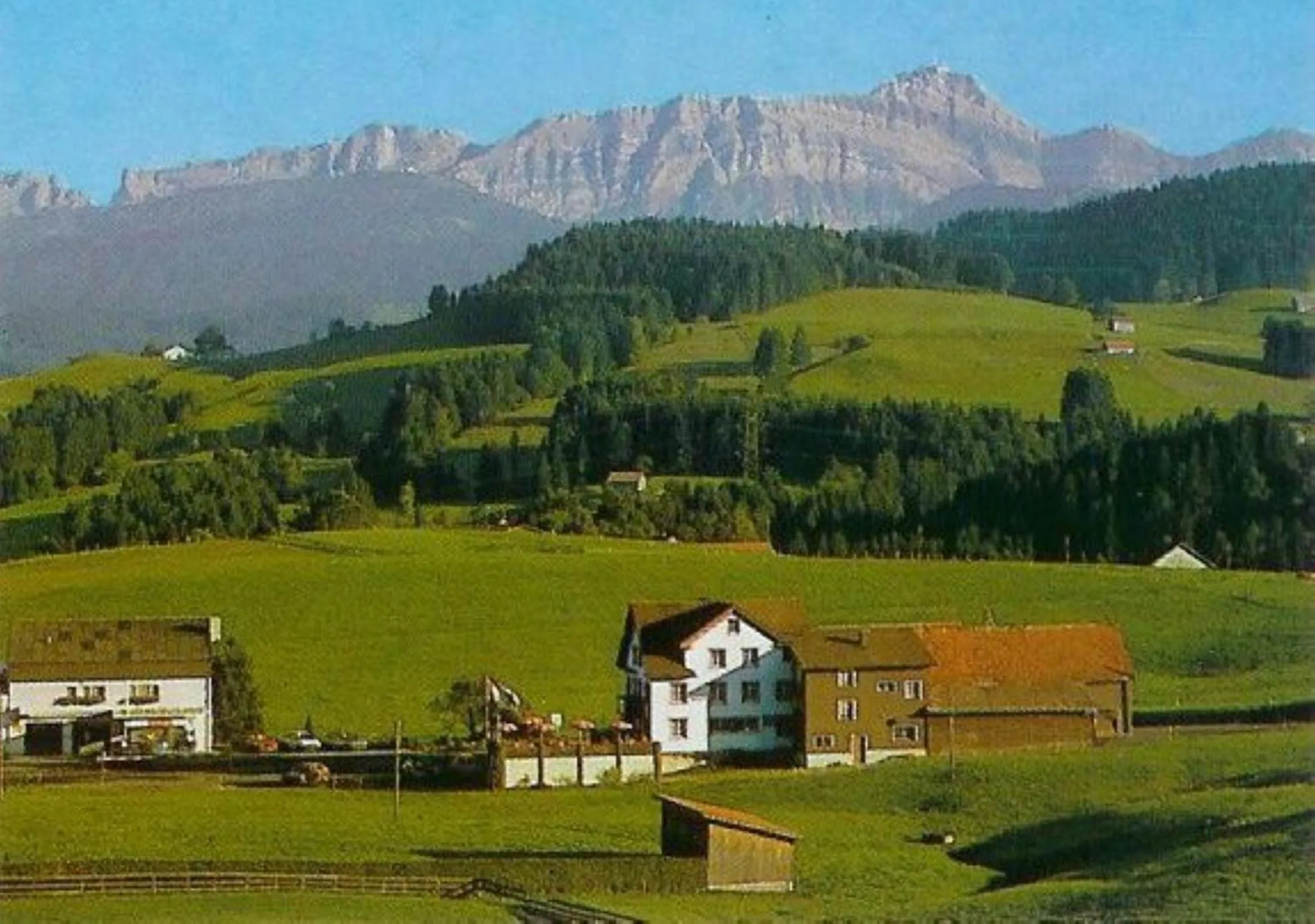 Hotel Garni Traube B&B