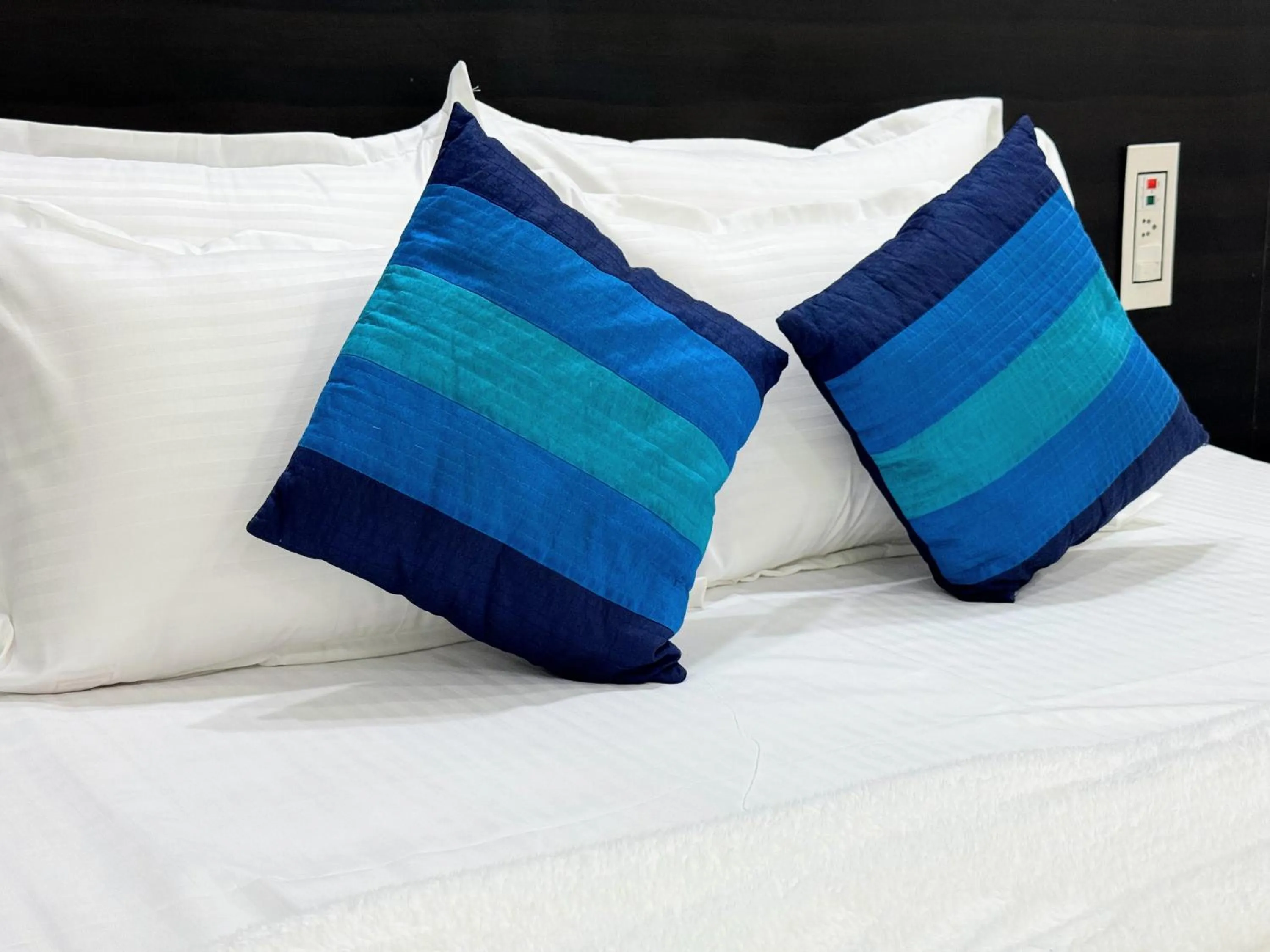 Bed in Backpacker's Nest