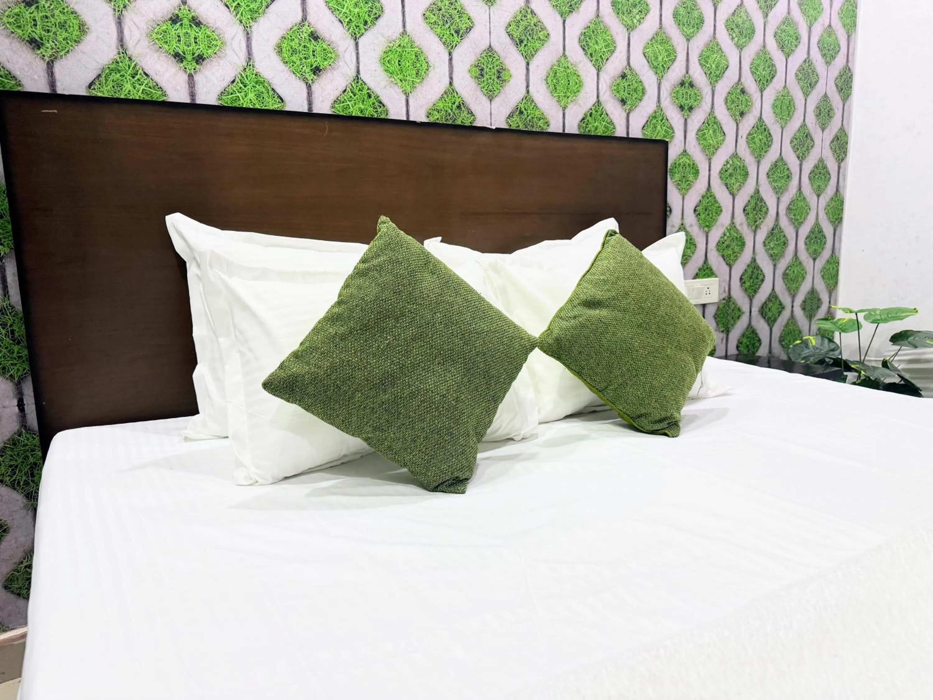 Bed in Backpacker's Nest