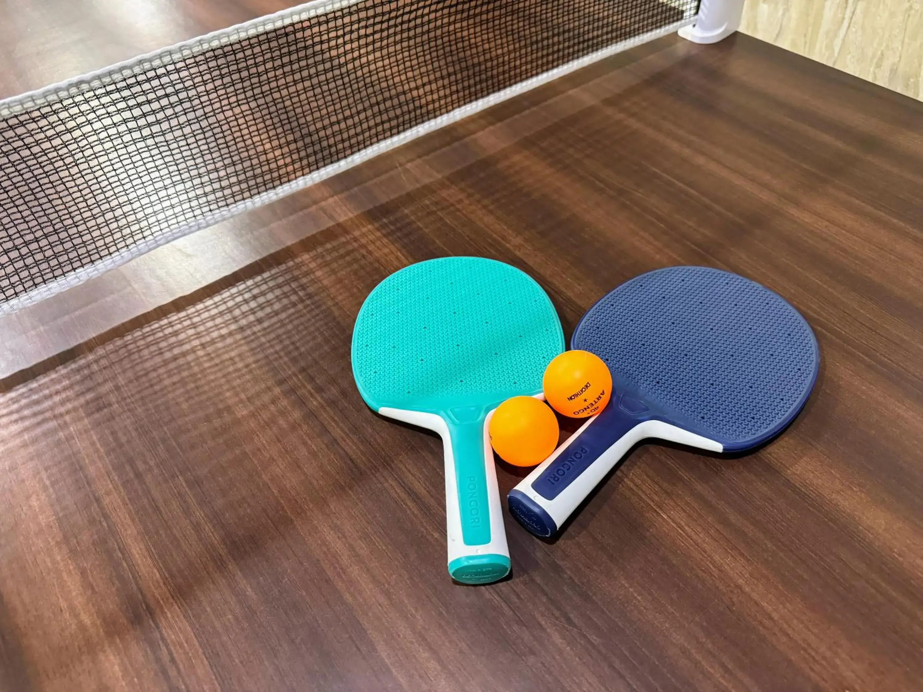 Game Room in Backpacker's Nest Game Room in Backpacker's Nest