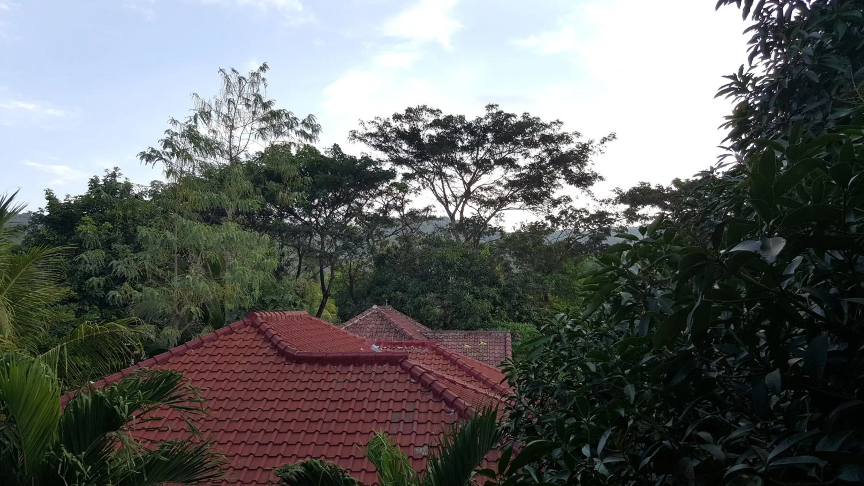 Other in Sari Inn Kuta Lombok