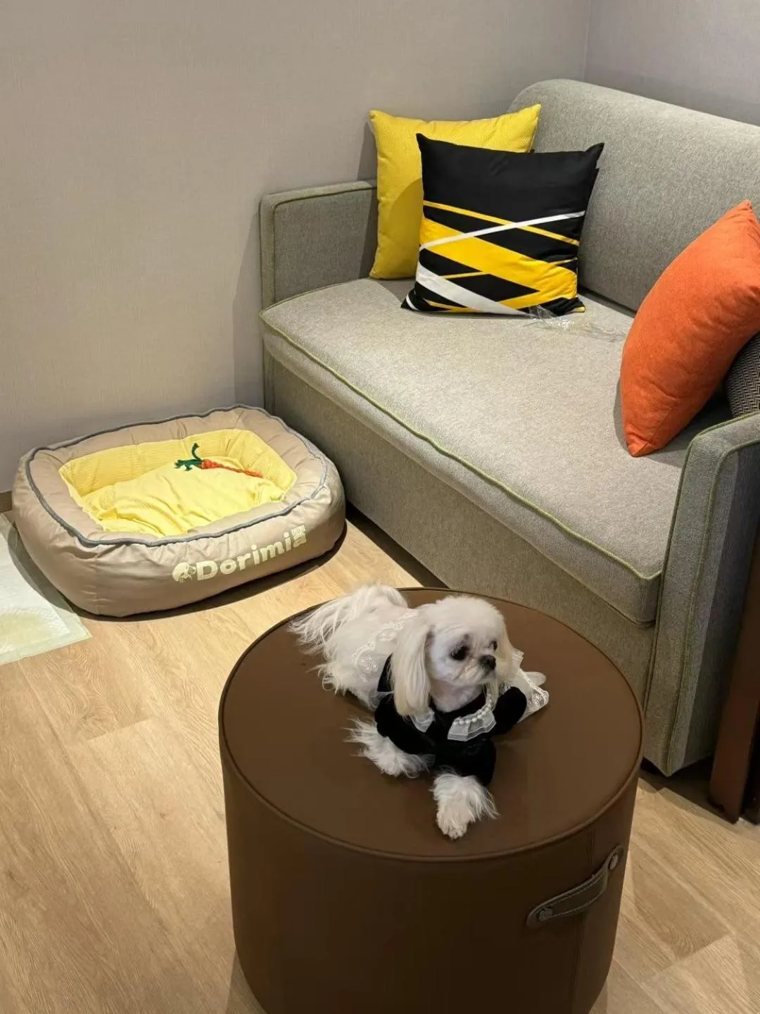 Home2 Suite by Hilton Xingcheng