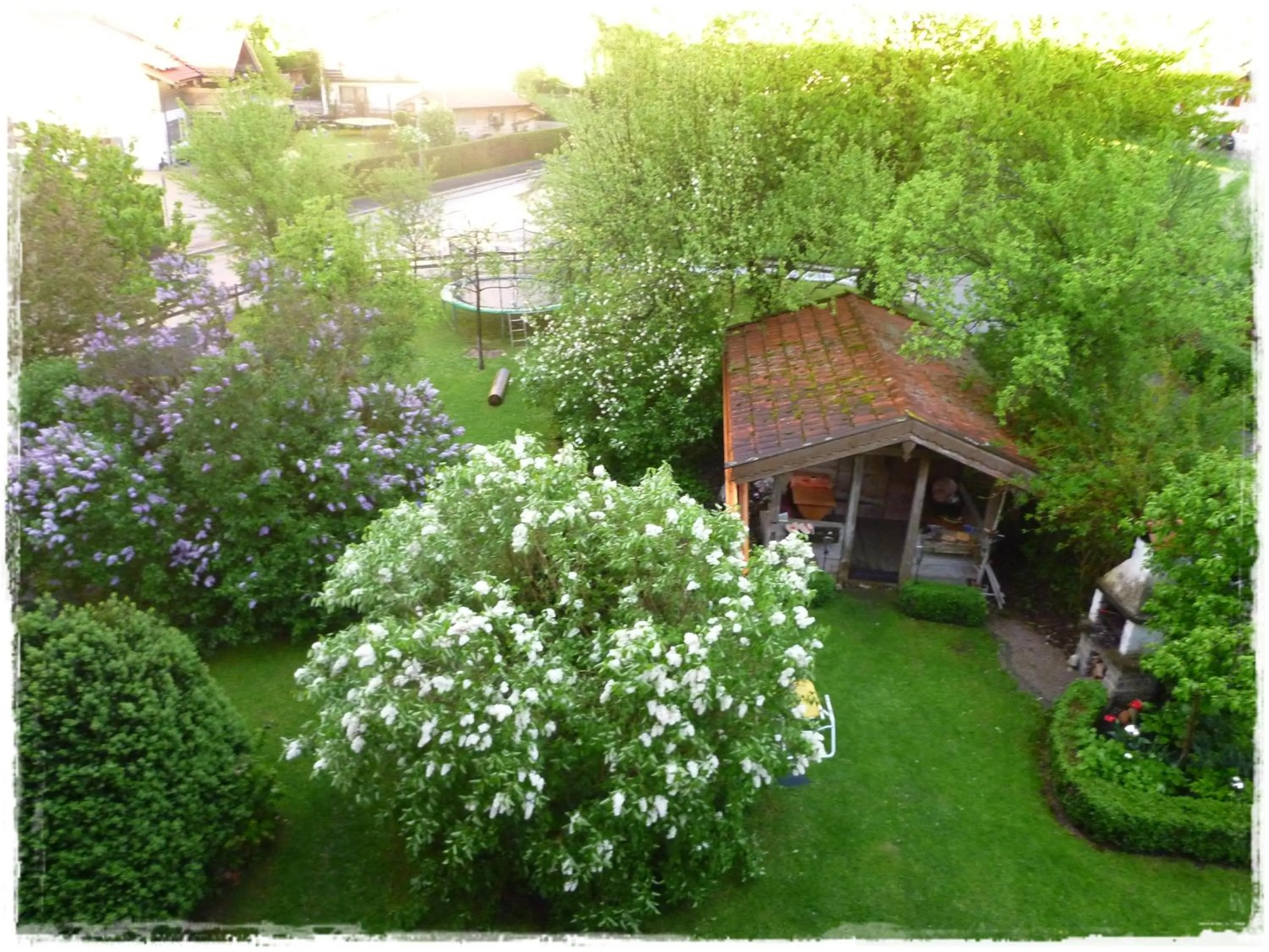 BBQ facilities in Apartments Donebauer