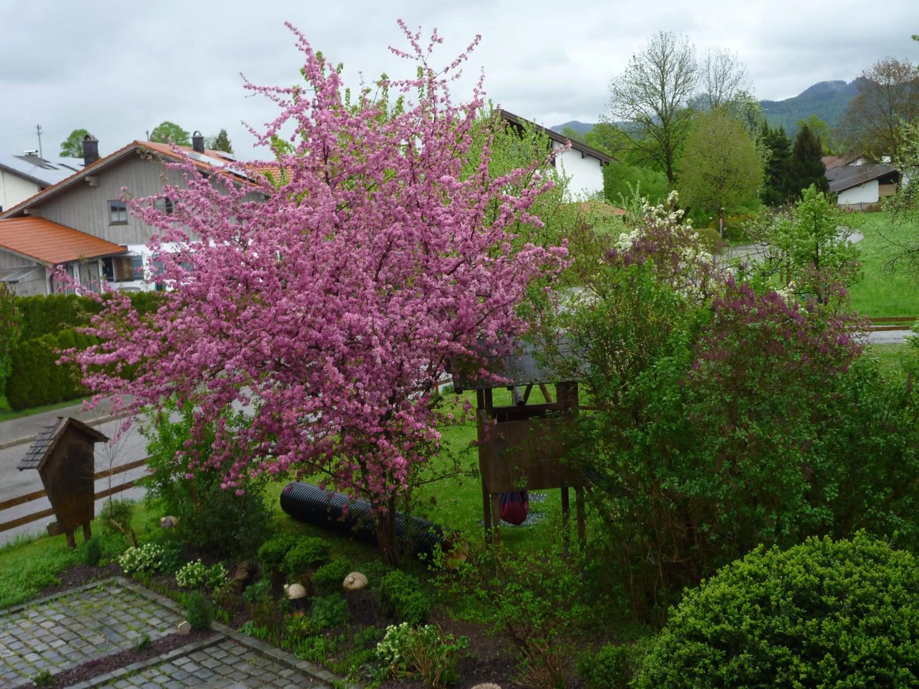 Garden view in Apartments Donebauer