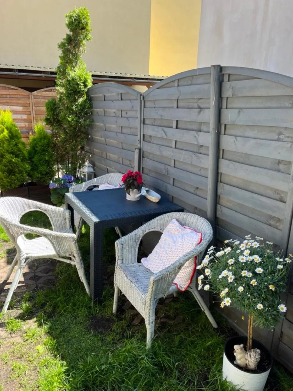 Garden in Willa Klara