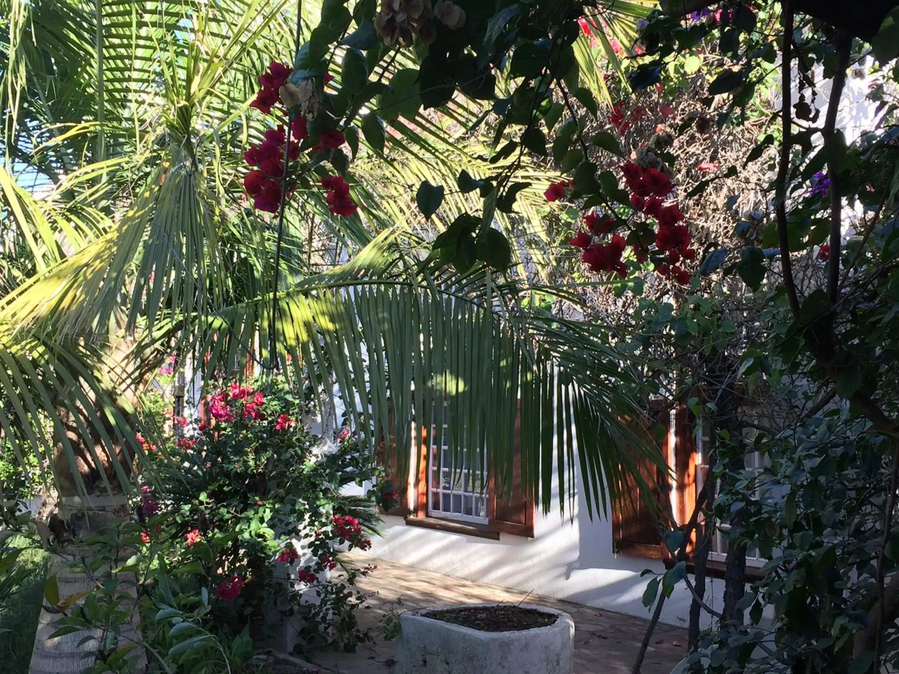 Garden in Wittedrift Manor House