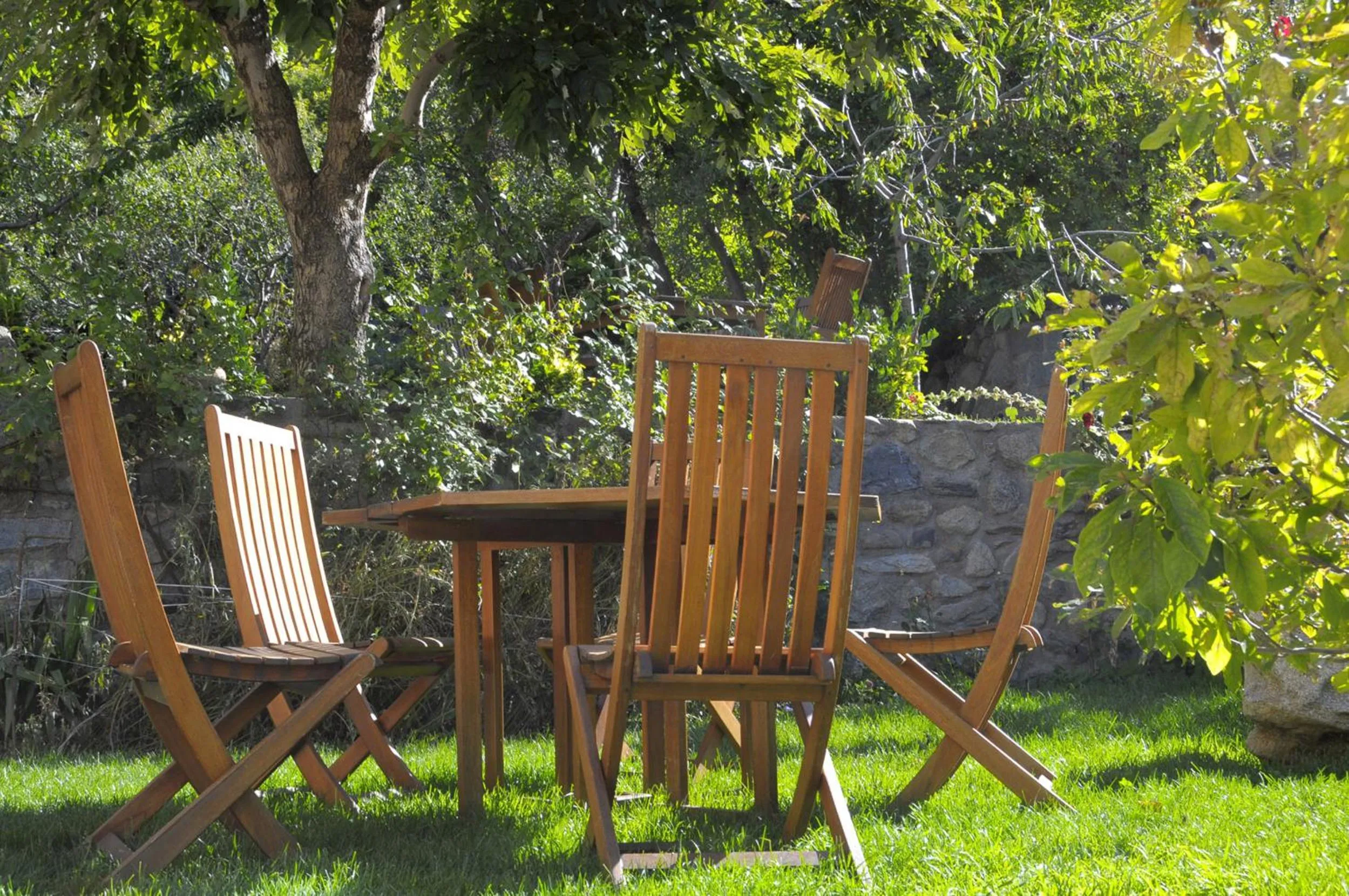 Garden in Hotel Casa Cornel
