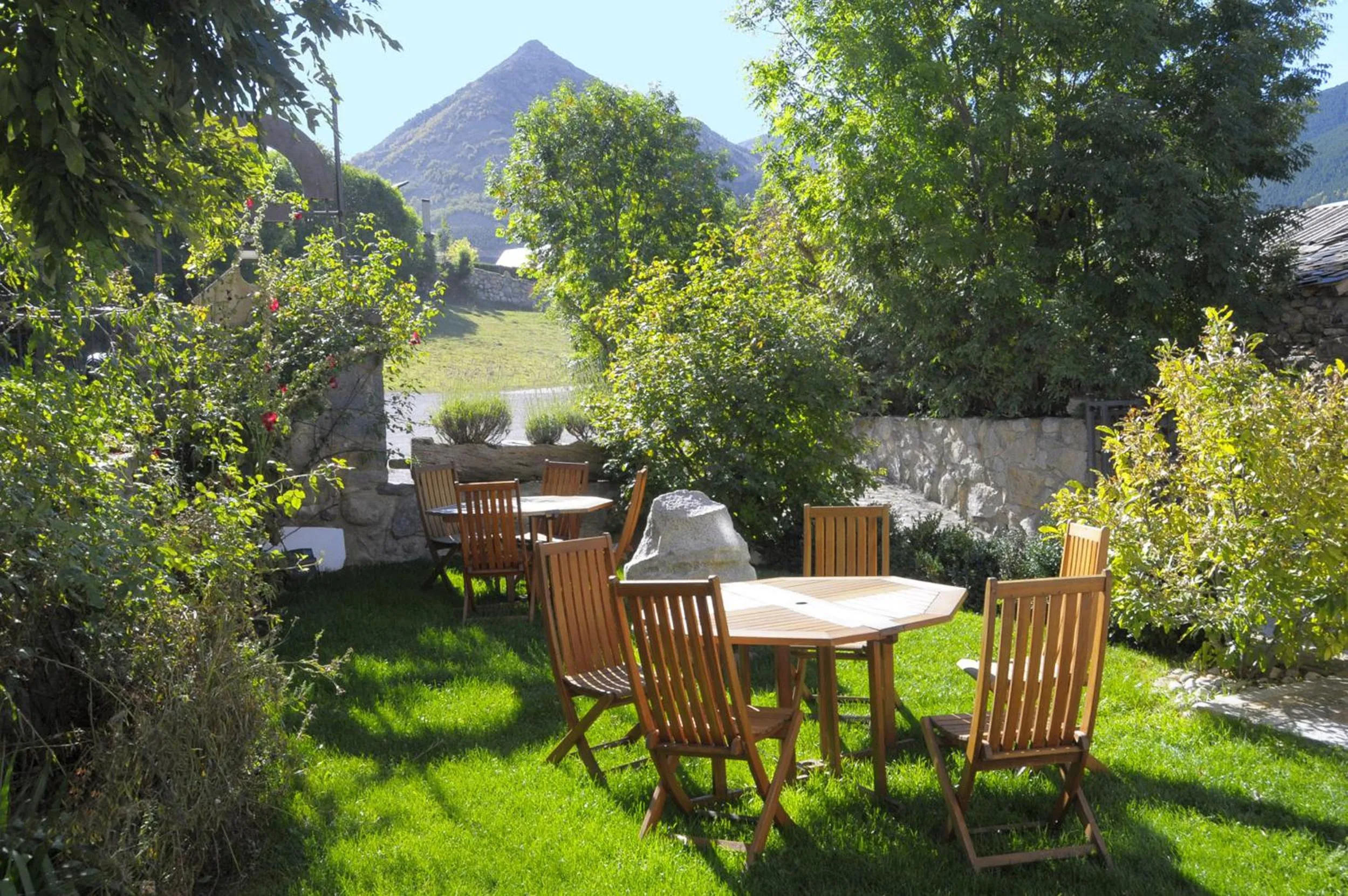 Garden in Hotel Casa Cornel
