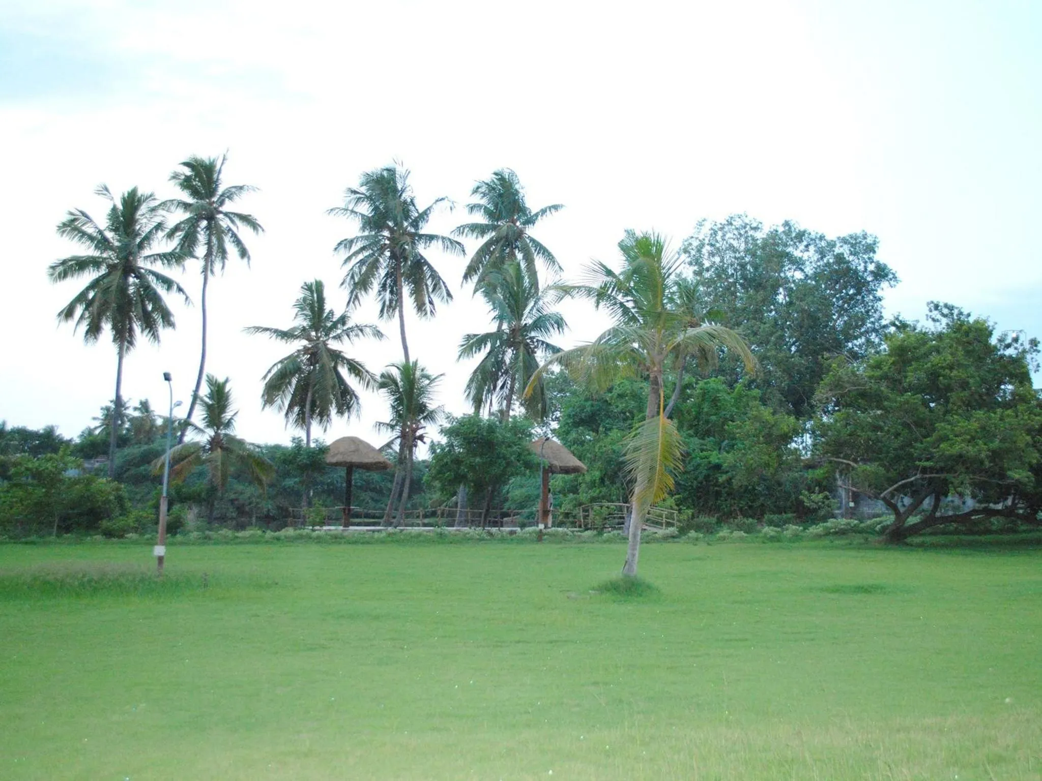 Garden view in Lakshmi Vilas