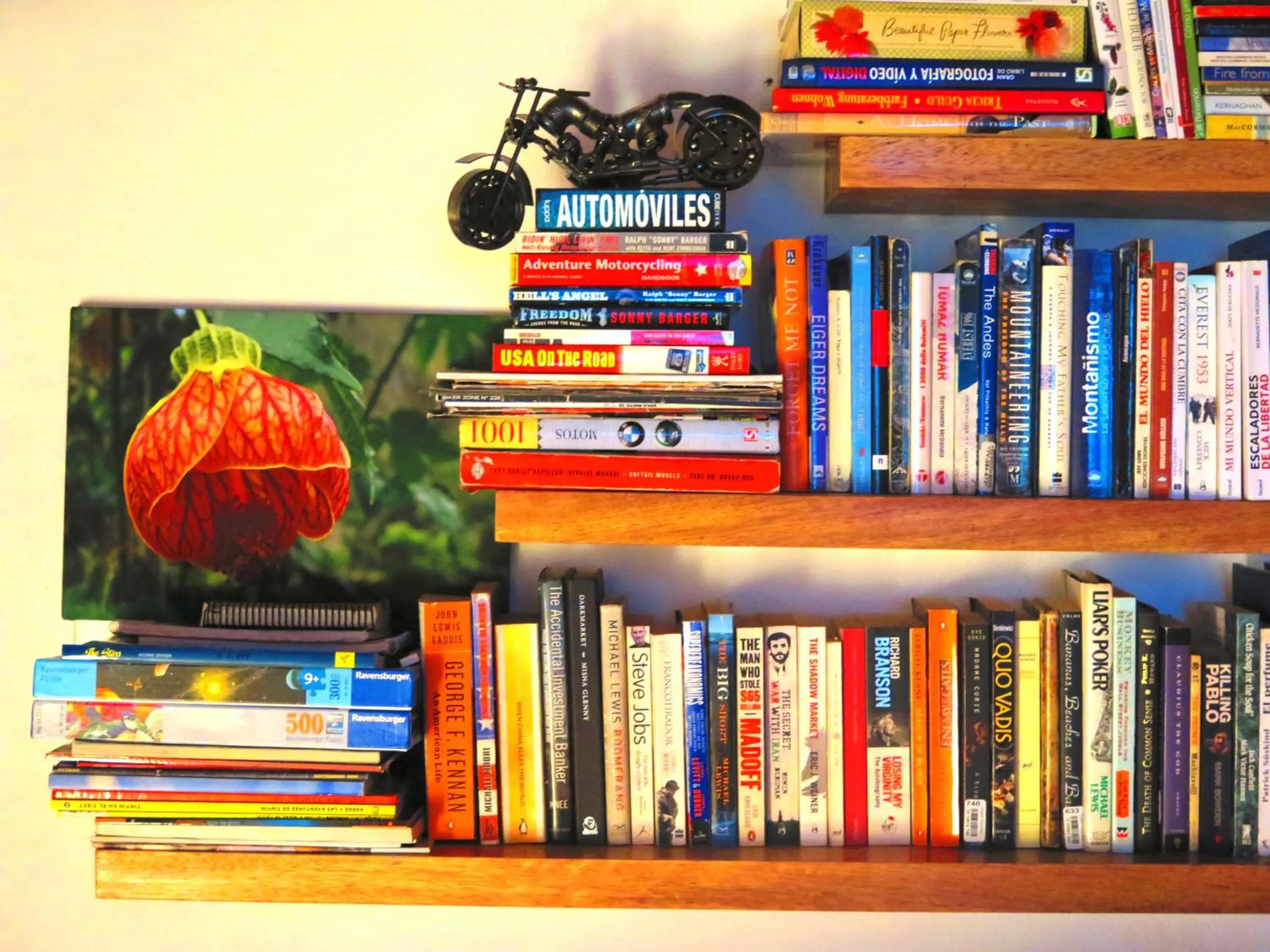 Library in Birds Hotel Molino