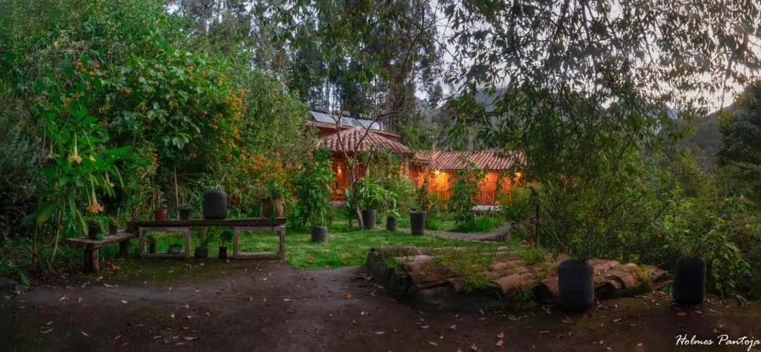 Property building in Birds Hotel Molino