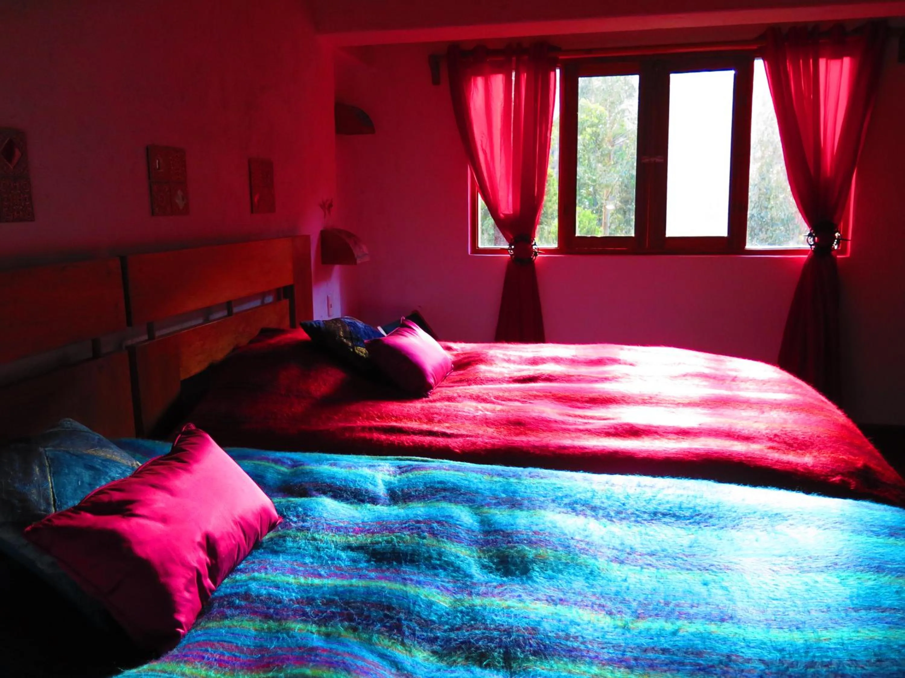 Bedroom, Bed in Birds Hotel Molino