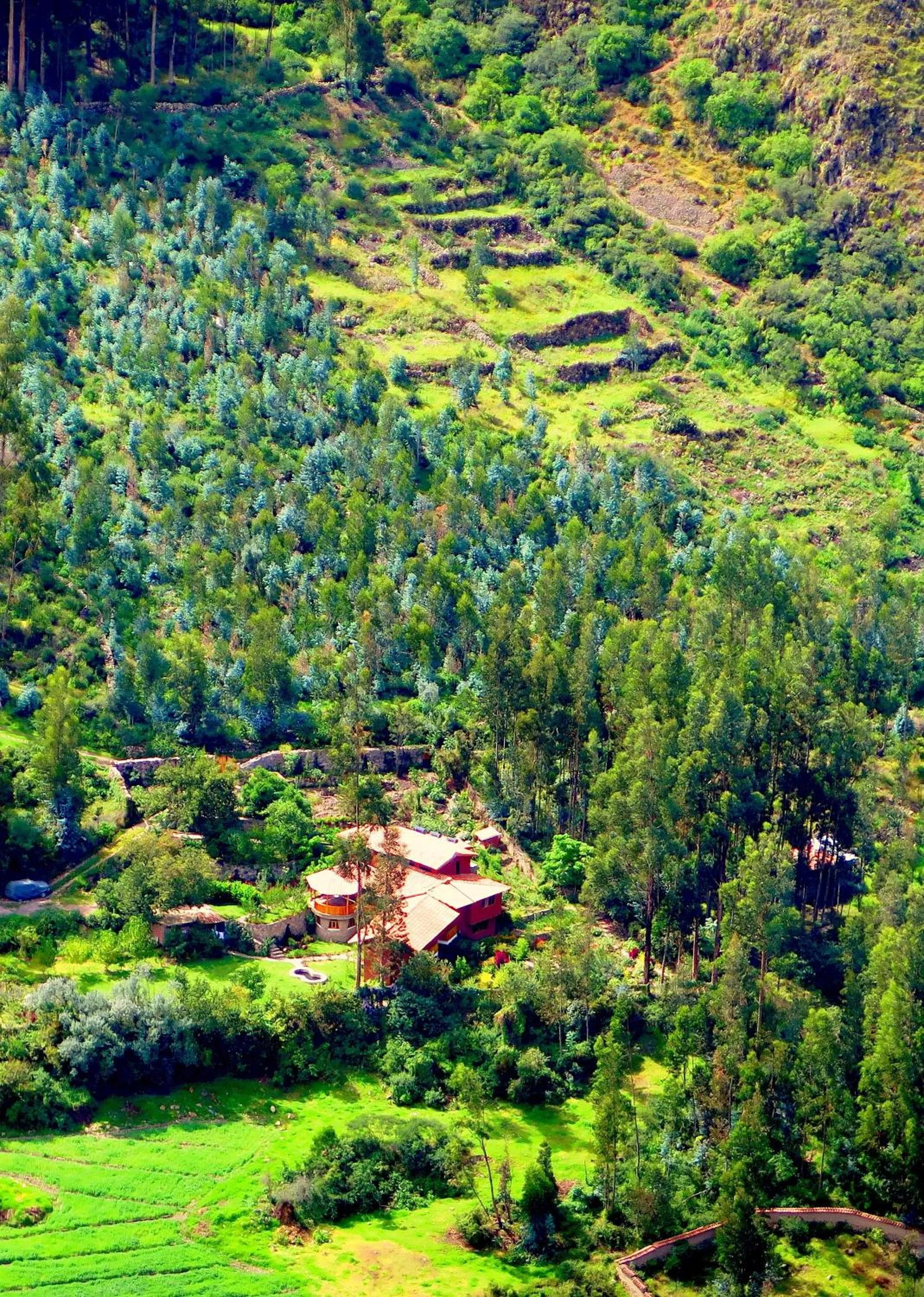 Property building in Birds Hotel Molino