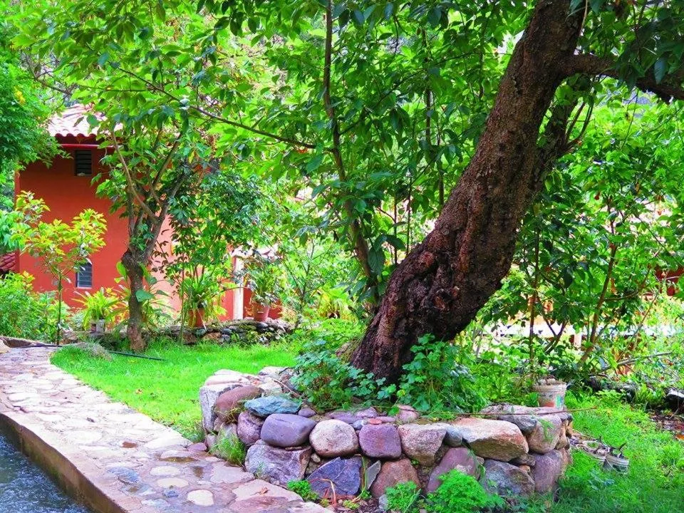 Garden in Birds Hotel Molino