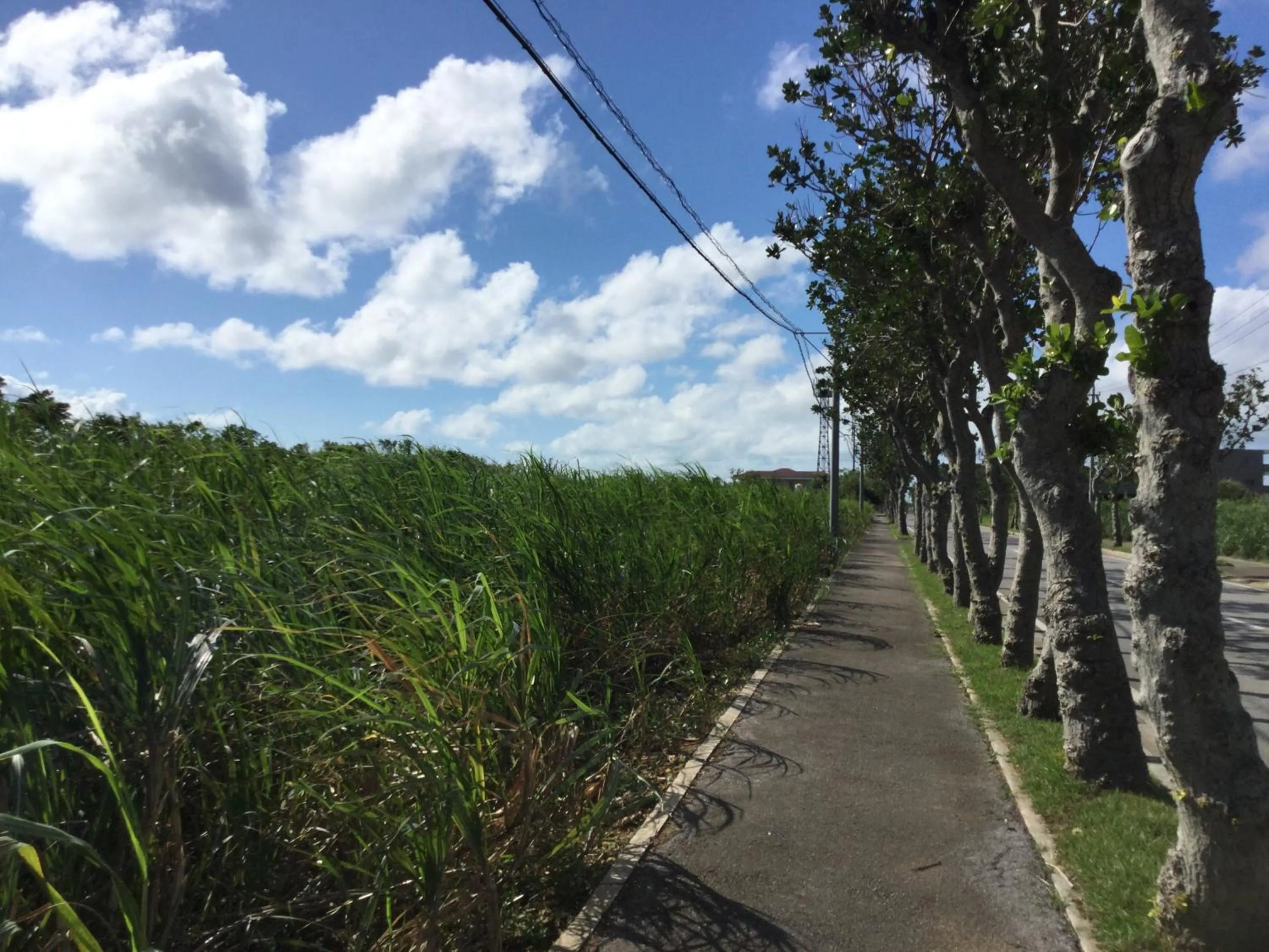 Neighbourhood in Minshuku Zabaru
