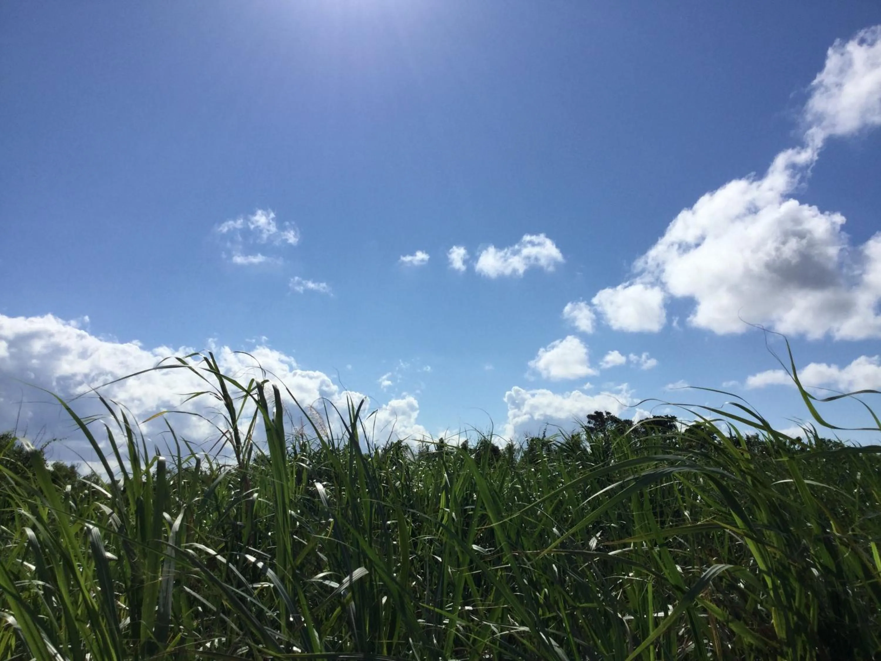 Natural landscape in Minshuku Zabaru