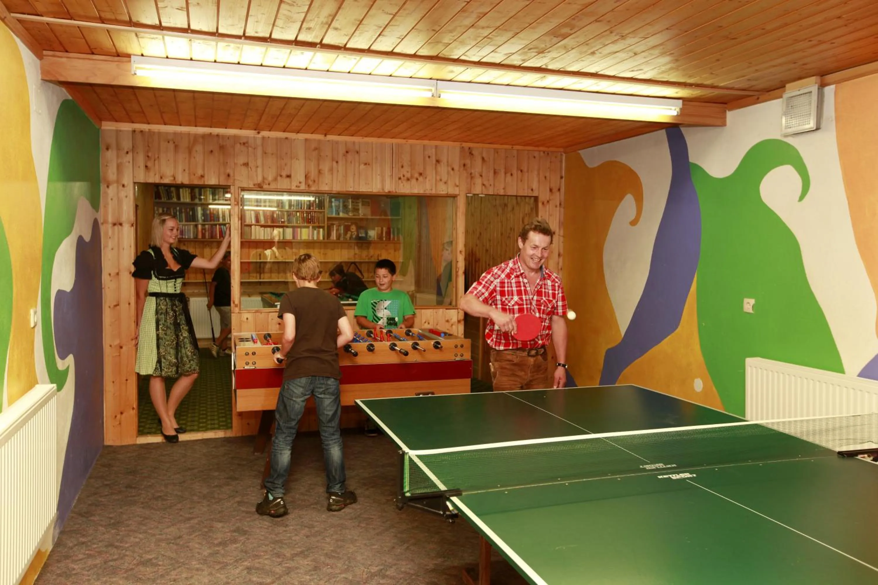 Game Room in Dachsteinblick