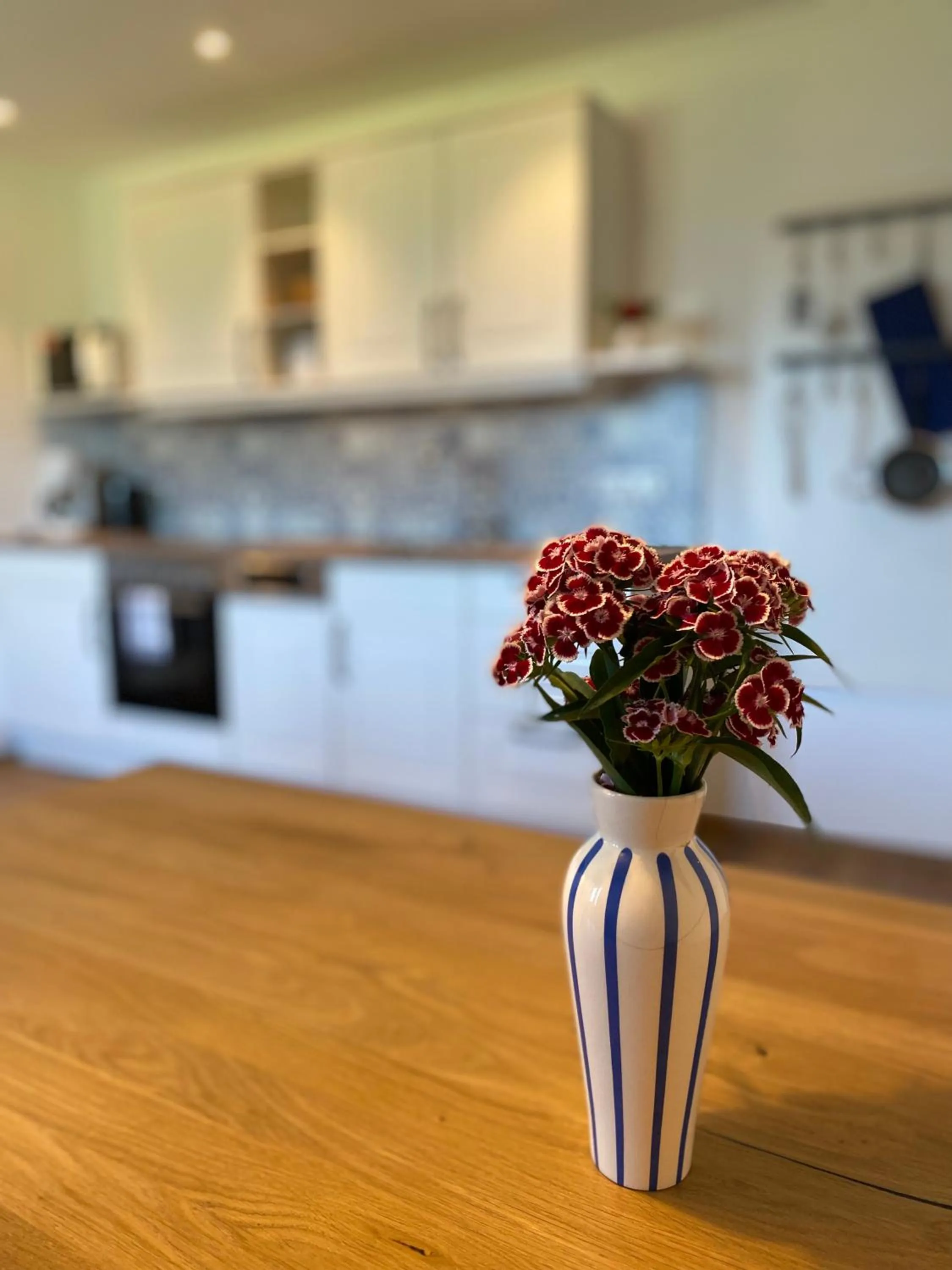 Kitchen or kitchenette in Dachsteinblick