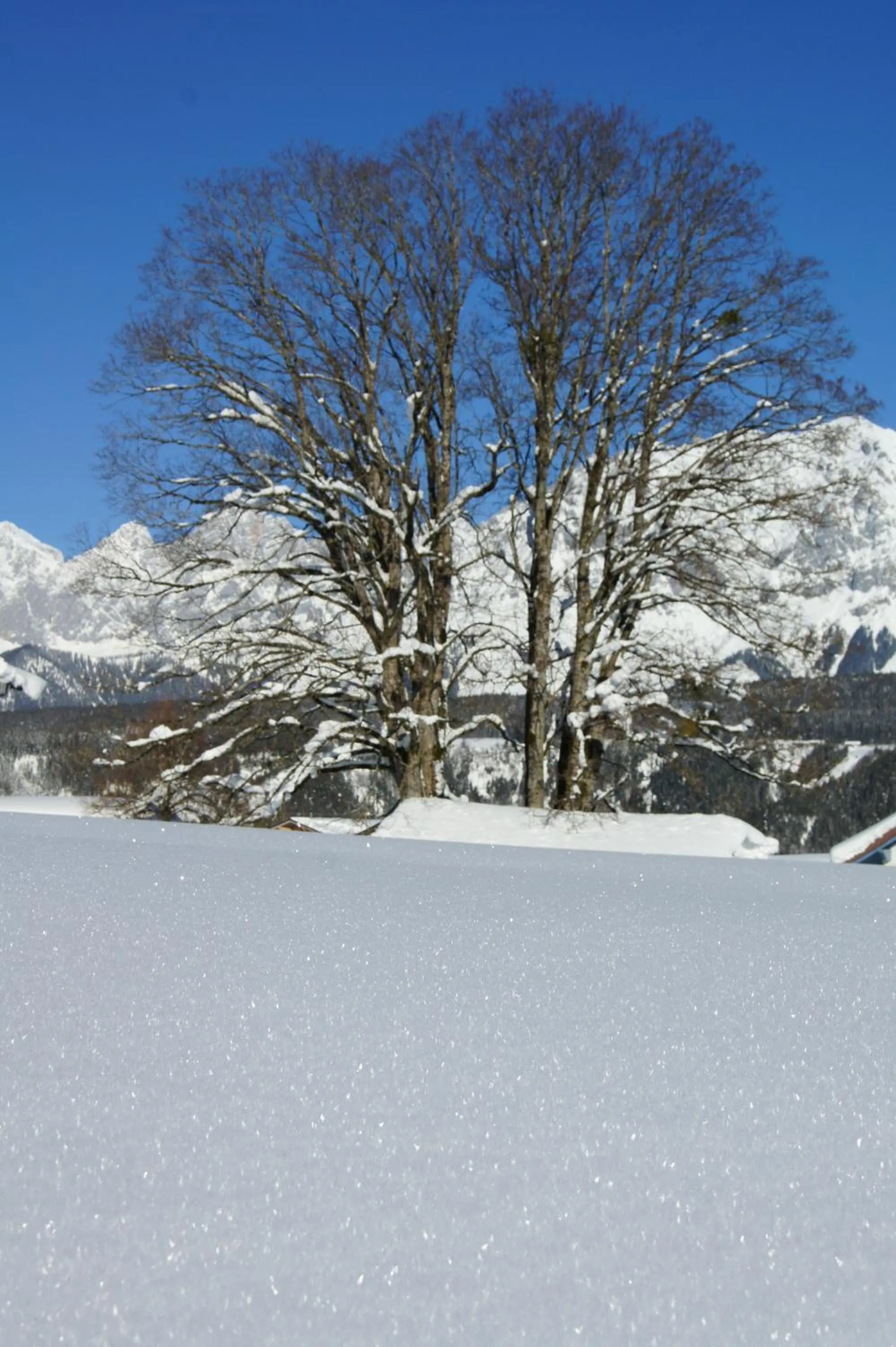 Winter in Dachsteinblick