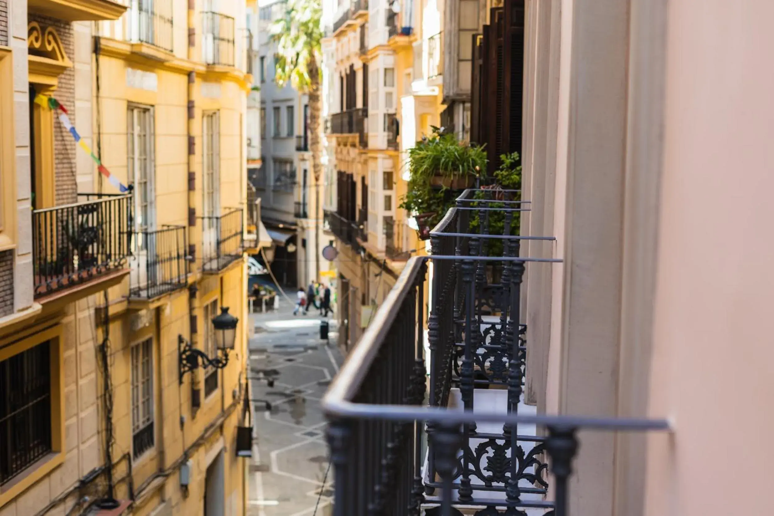 Debambú Larios Debambú Larios