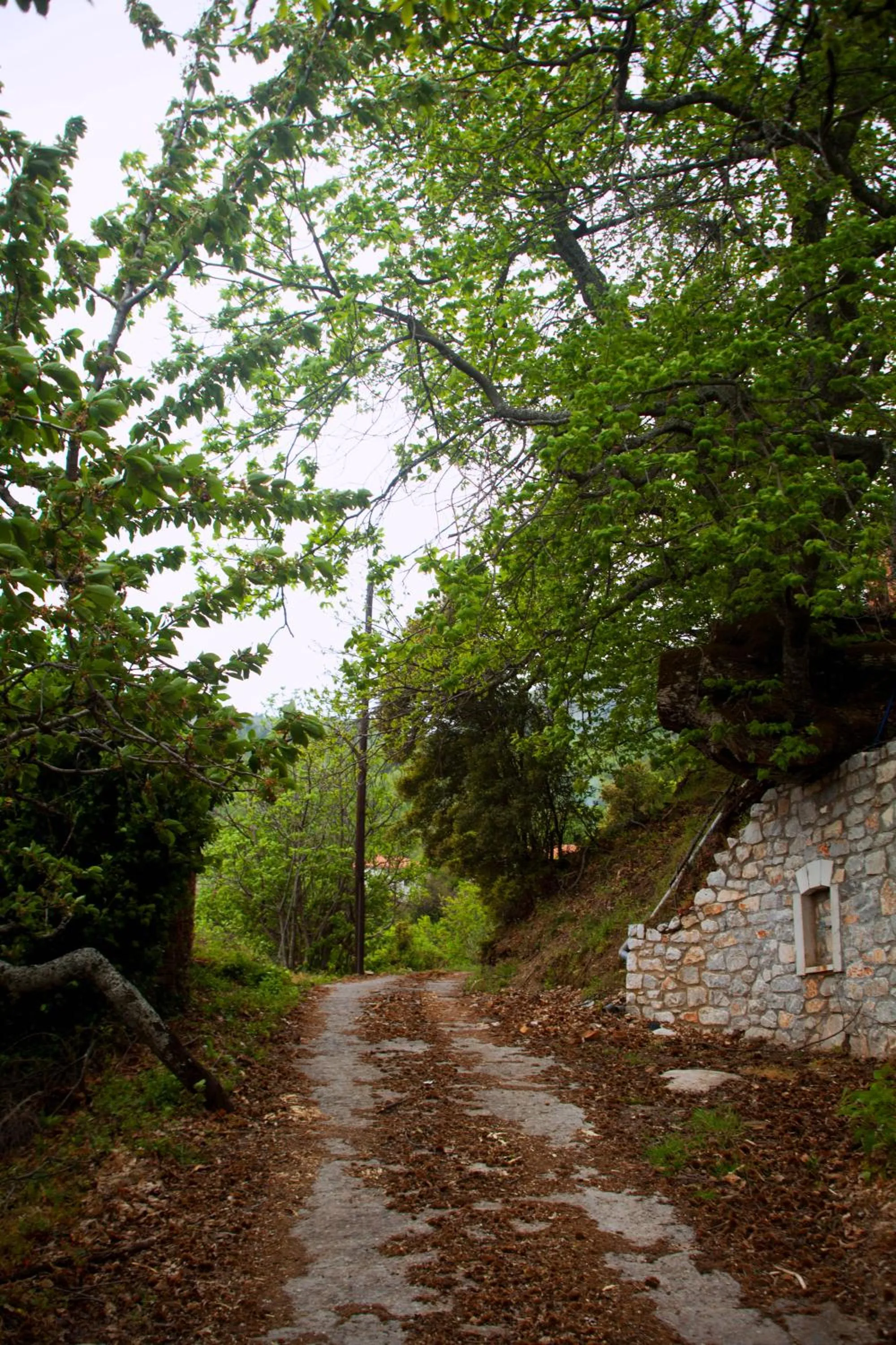 Neighbourhood, Garden in 1821 En Dolianis