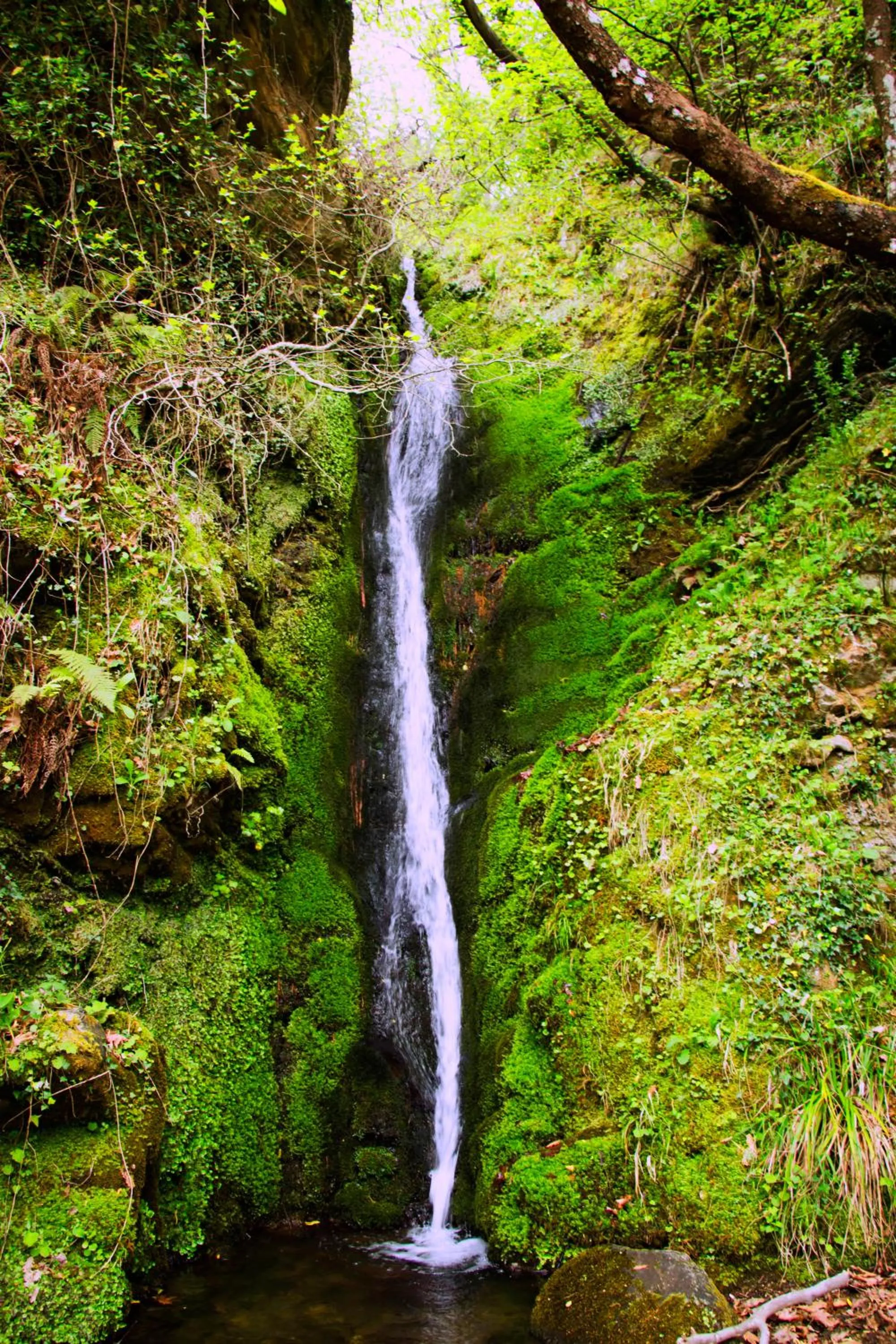 Natural Landscape in 1821 En Dolianis