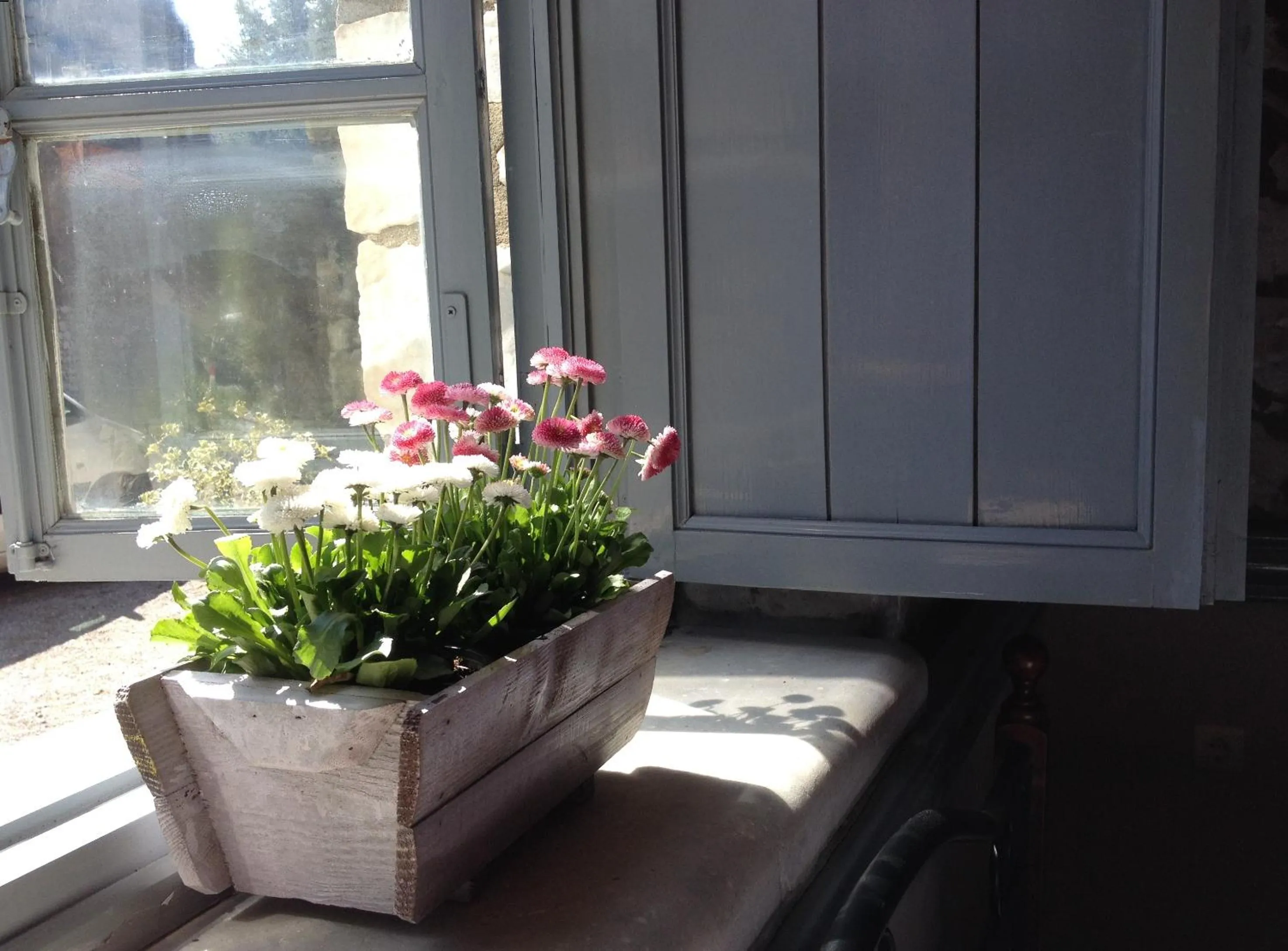 Decorative detail in 1821 En Dolianis